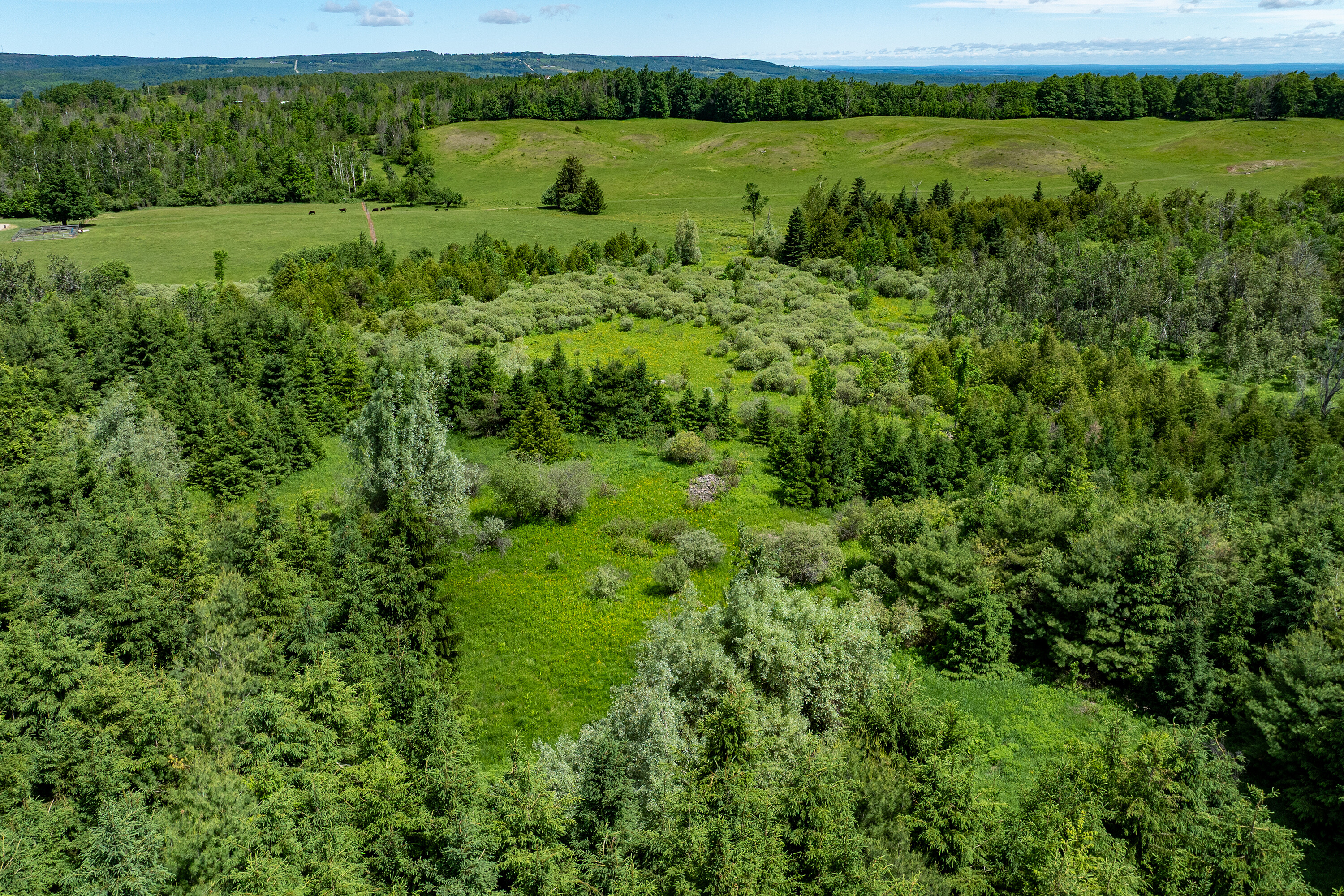 50 acre parcel in Mulmur ON - 物件實景