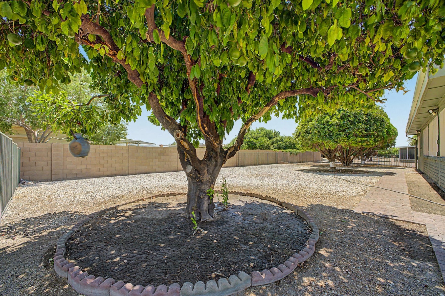  9310 W Glen Oaks Circle N¦Sun City, AZ - 物件實景