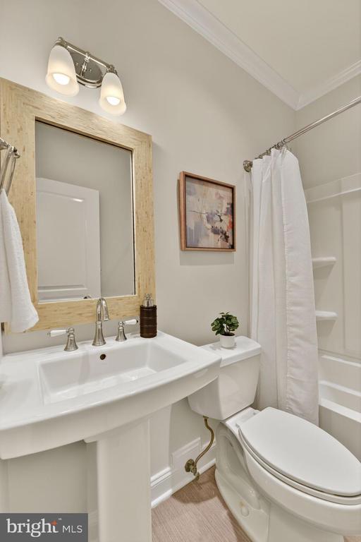 Arlington, Virginia, 22213, United States, 5 Bedrooms Bedrooms, ,5 BathroomsBathrooms,Residential,For Sale,1982488