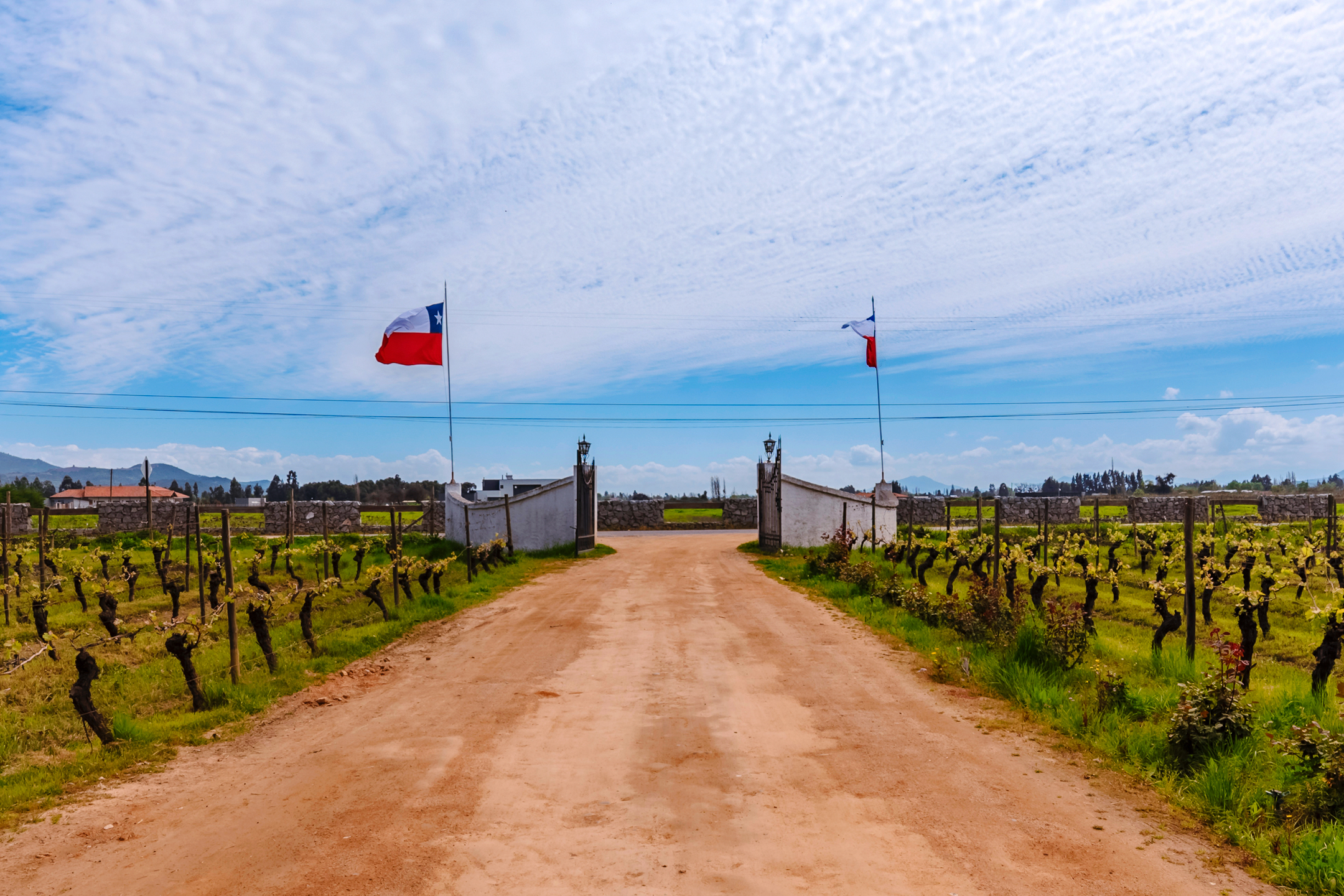  Chilean colonial-style mansion in a 3.3-hectare vineyard in Santa Cruz. - 物件實景