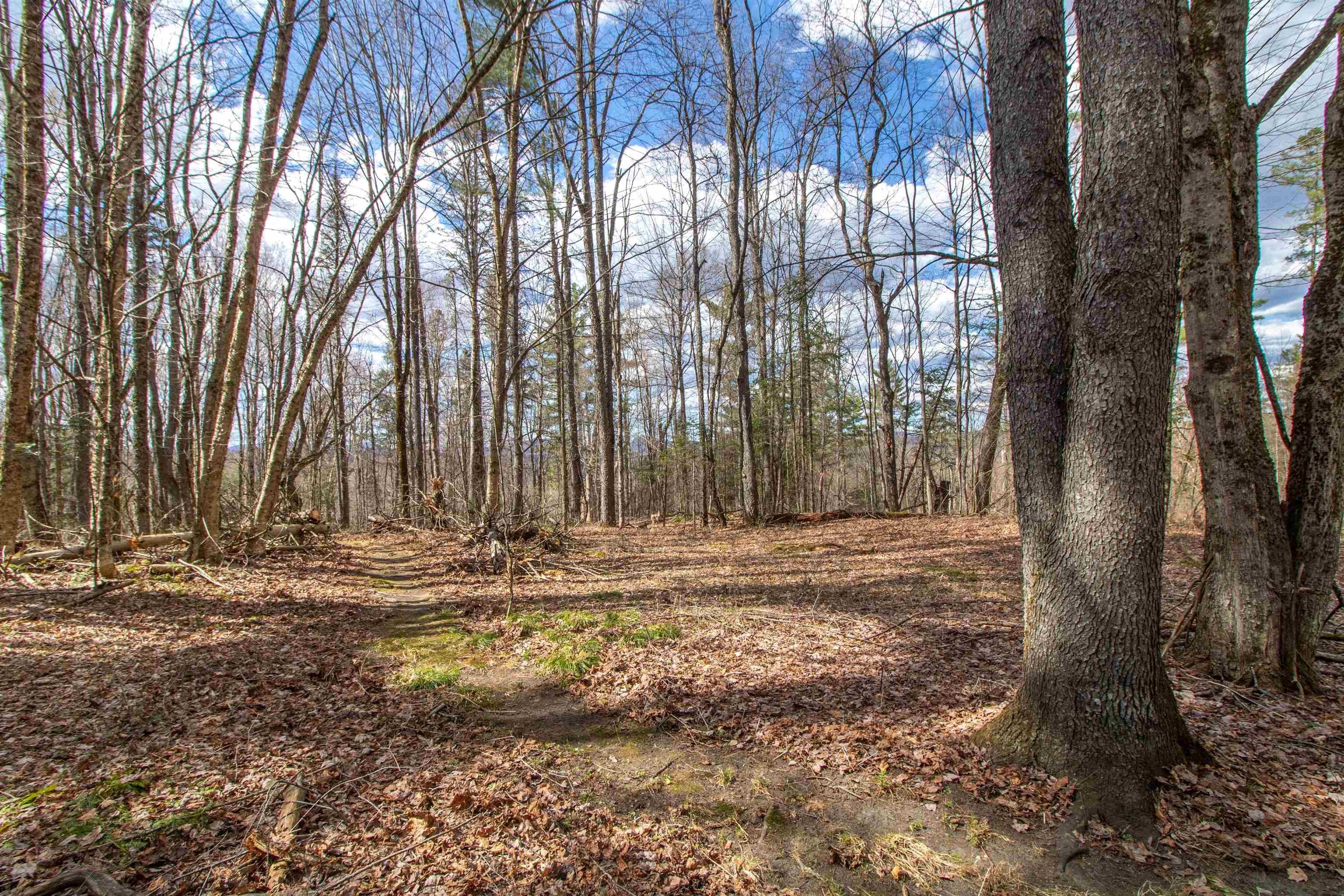 Burke, Vermont, 05832, United States, ,Land,For Sale,2041867