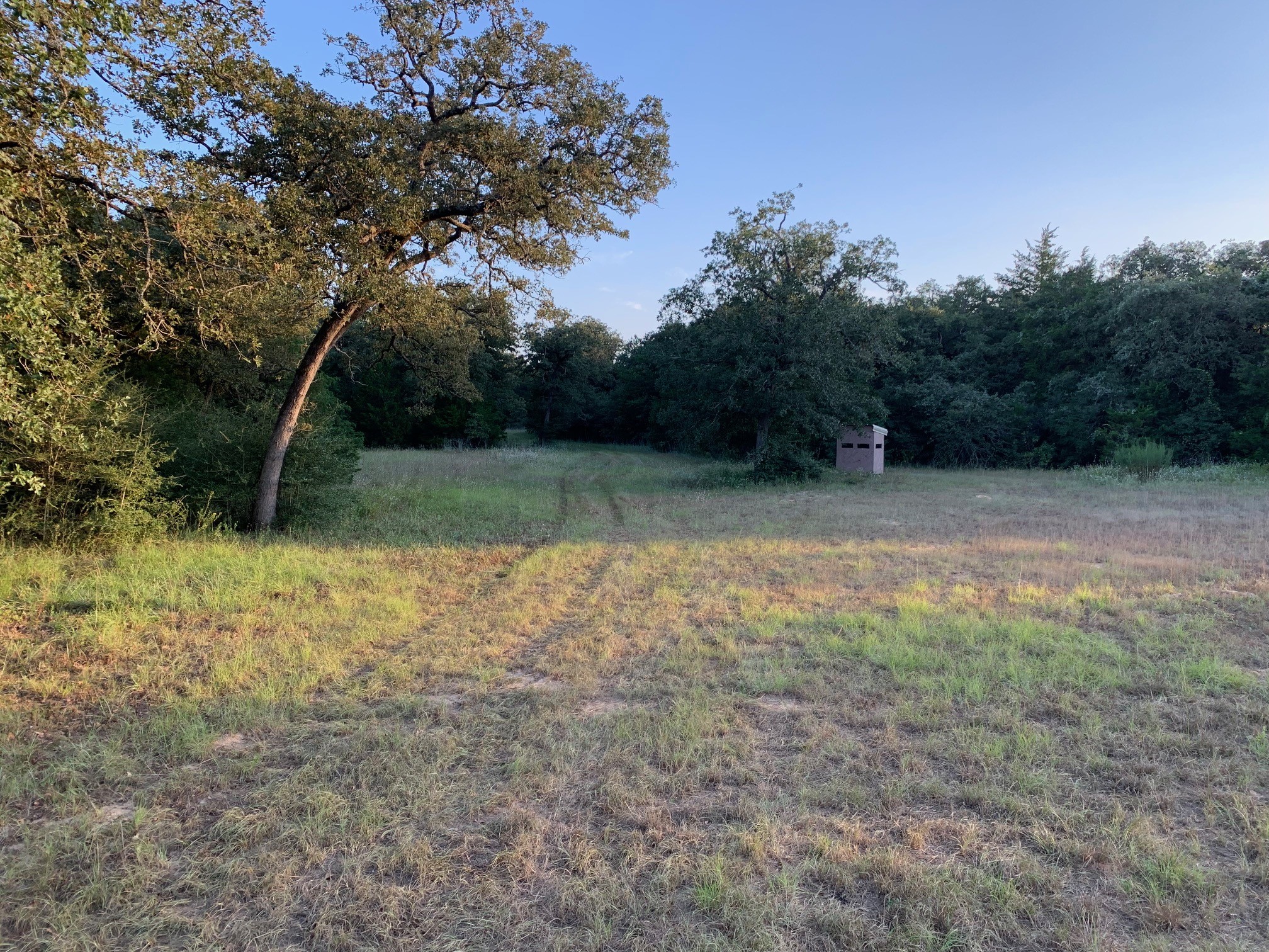 5632 County Road 317, Caldwell, Texas, 77836, United States, ,Land,For Sale,5632 County Road 317,1626286