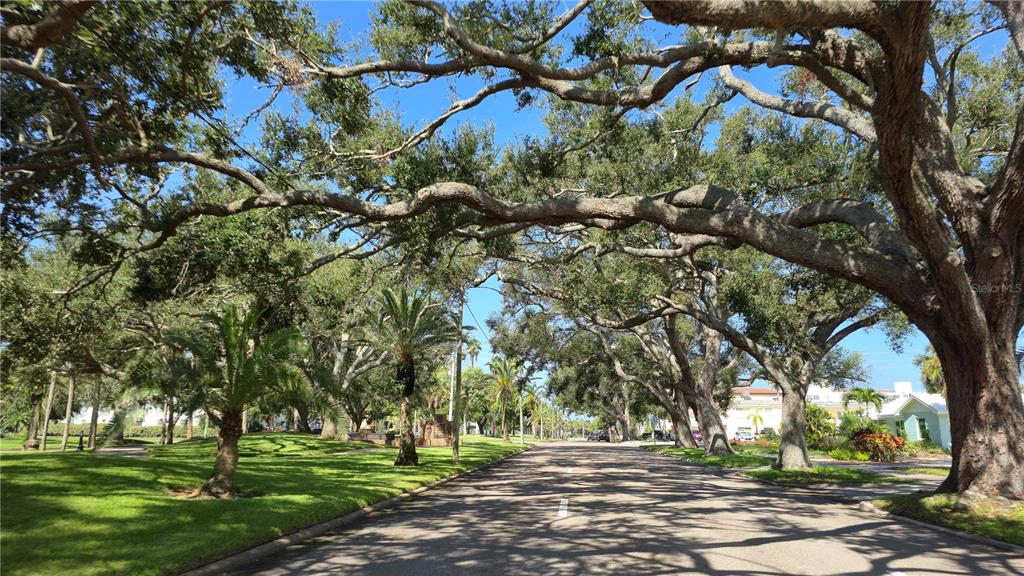 Venice, Florida, 34285, United States, 3 Bedrooms Bedrooms, ,2 BathroomsBathrooms,Residential,For Sale,1934164