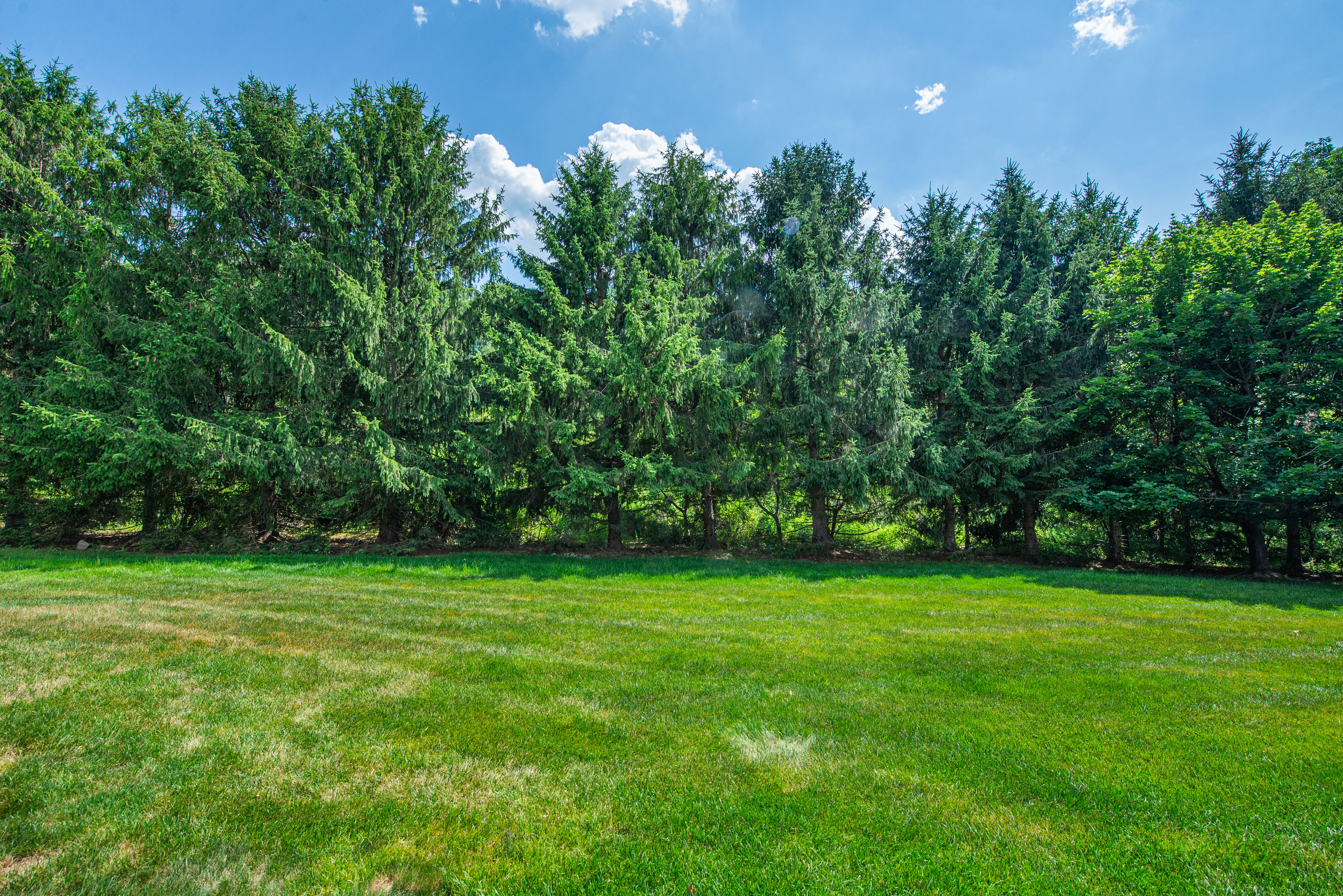  46 Village Drive, Montville, NJ 07045 - 物件實景