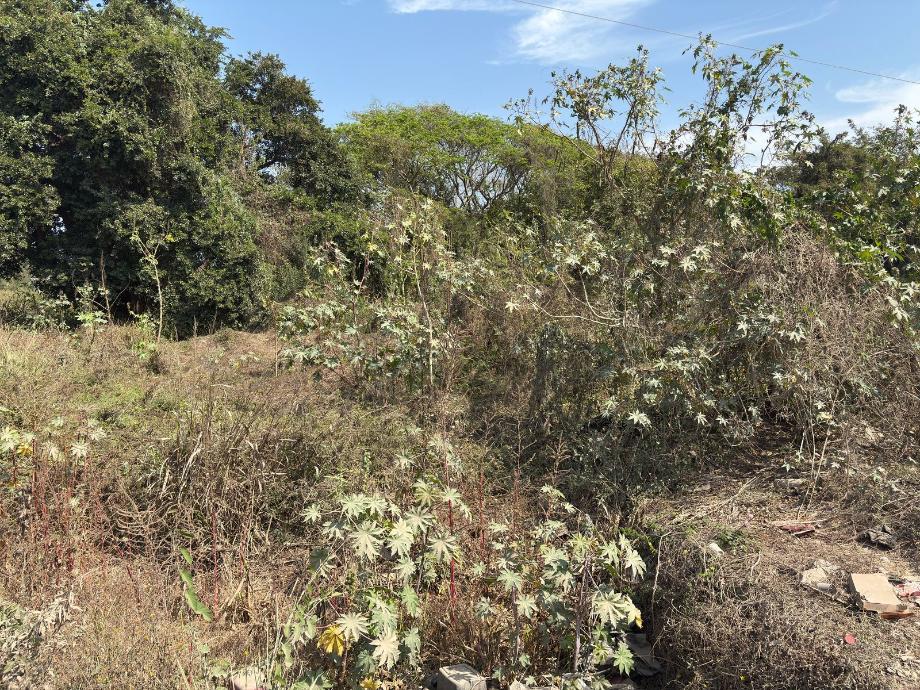 Mezcales, Nayarit, 63735, Mexico, ,Residential,For Sale,1916799