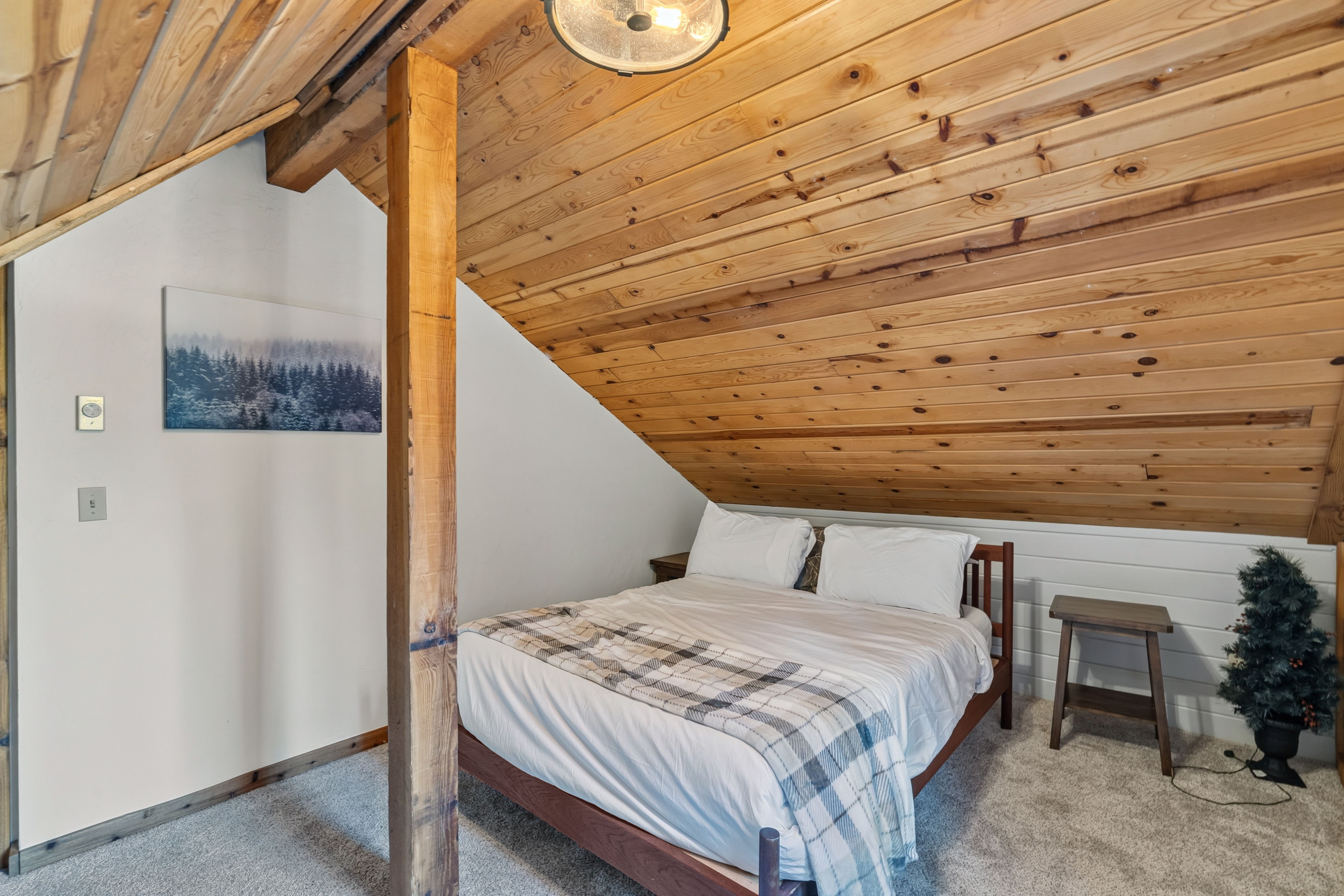  Cozy Cabin 1/2 Acre Backing to National Forest and Minutes from Main Street - 物件實景