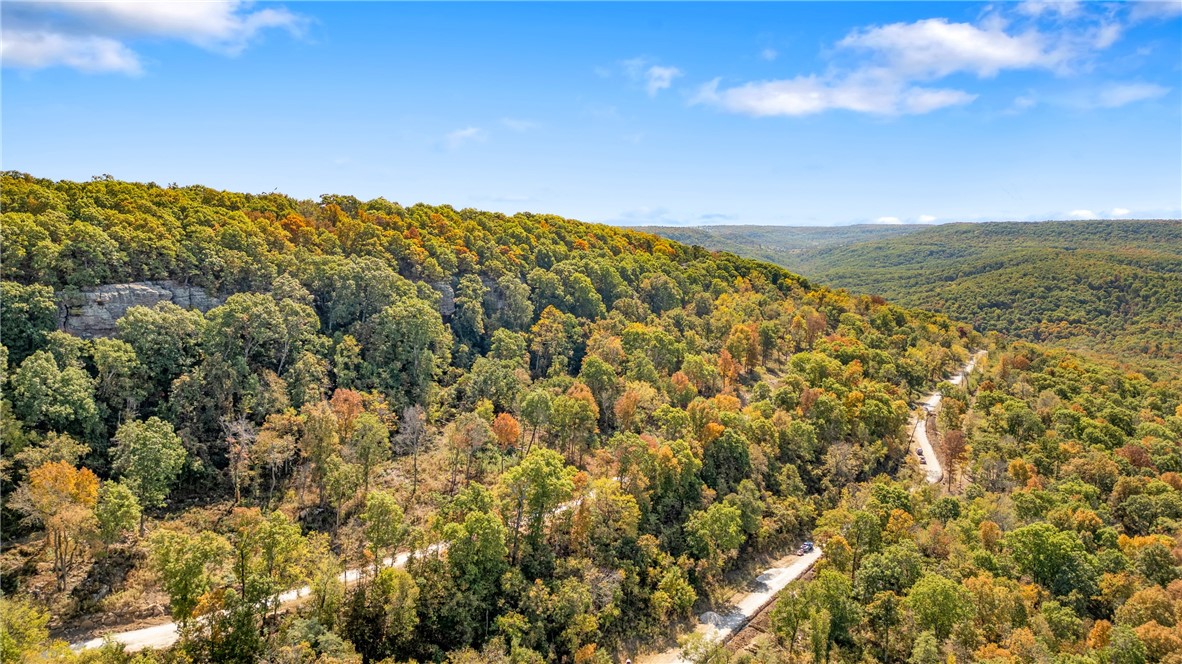 Harrison, Arkansas, 72601, United States, ,Land,For Sale,1903460