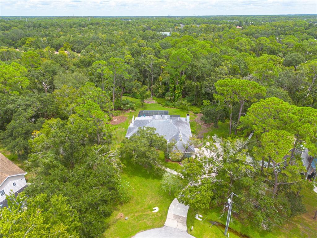 Tampa, Florida, 33626, United States, 5 Bedrooms Bedrooms, ,3 BathroomsBathrooms,Residential,For Sale,1941740