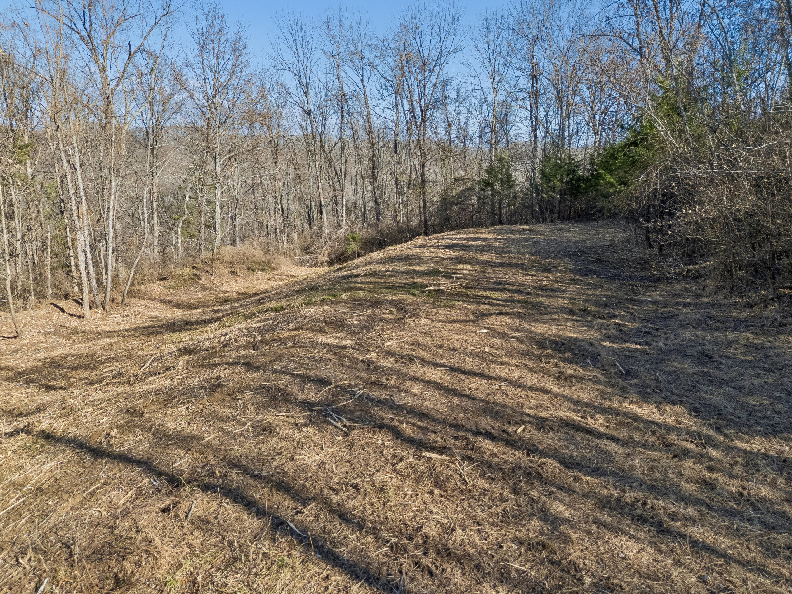 Brentwood, Tennessee, 37027, United States, ,Land,For Sale,2005446