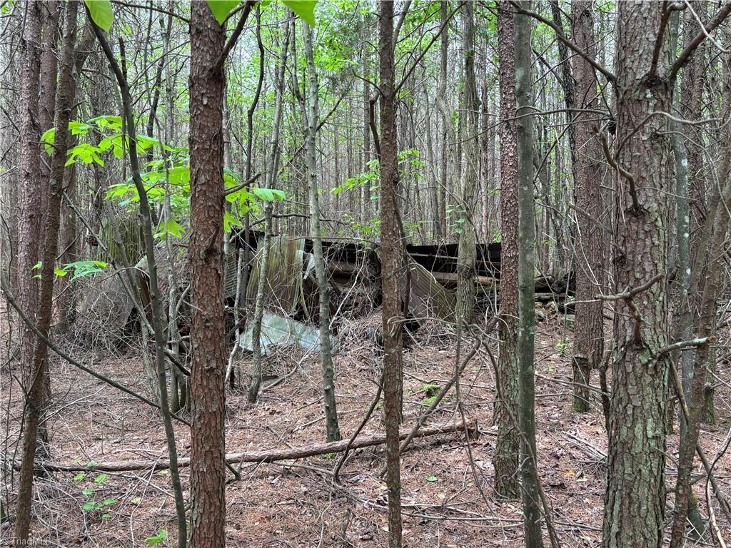 Pinnacle, North Carolina, 27043, United States, ,Land,For Sale,1829534