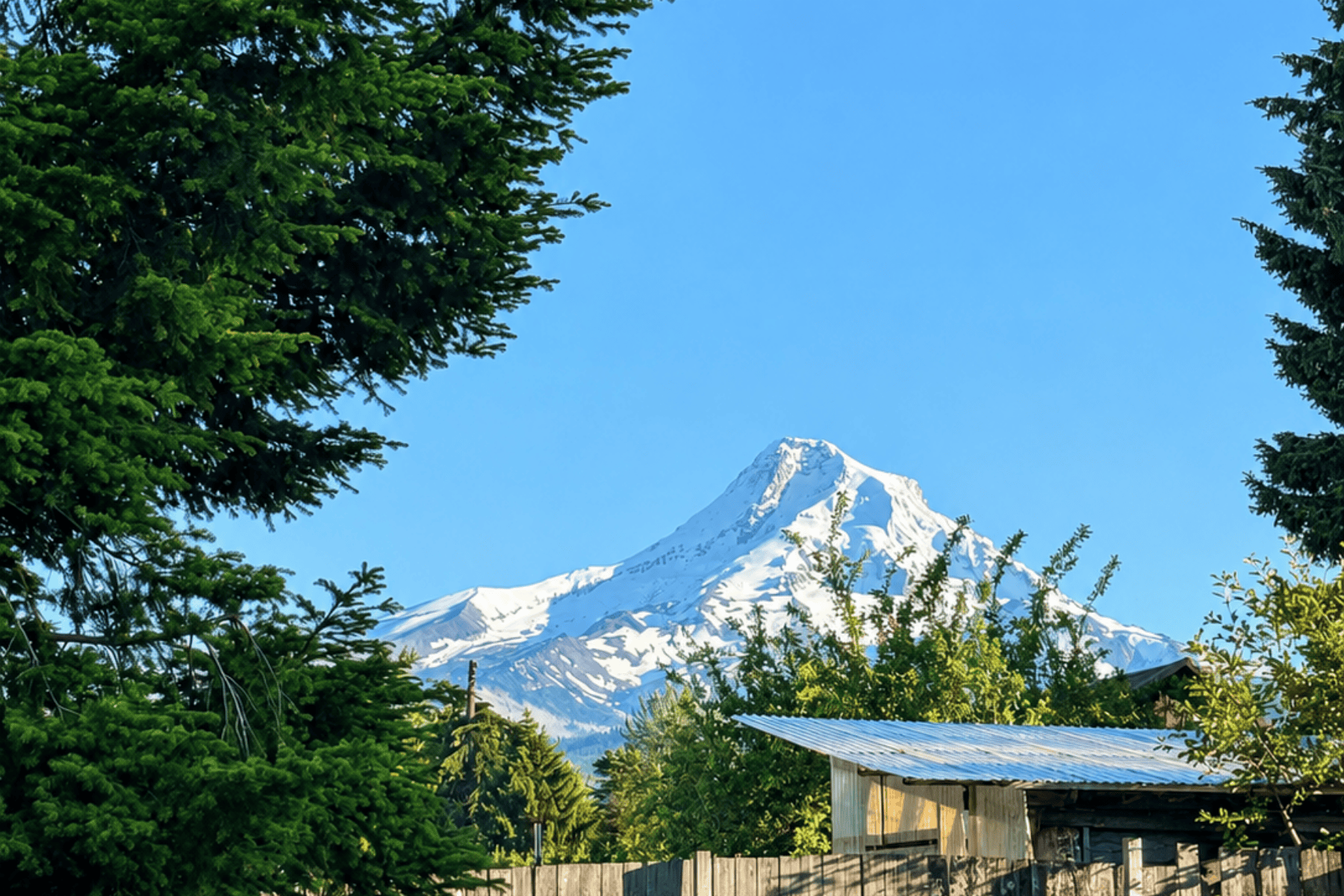  6455 TROUT CREEK RIDGE RD Mt Hood Prkdl, OR 97041 - 物件實景