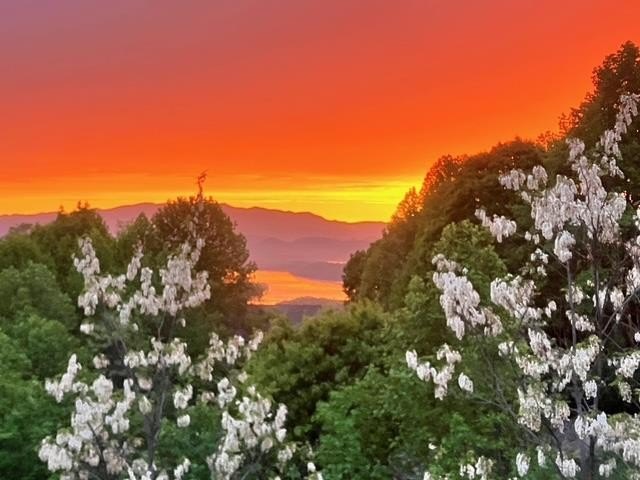 Hiawassee, Georgia, 30546, United States, 5 Bedrooms Bedrooms, ,5 BathroomsBathrooms,Residential,For Sale,1982508