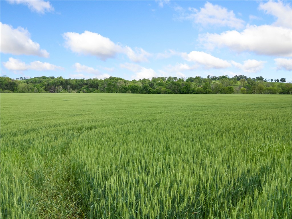 Alpena, Arkansas, 72611, United States, ,Land,For Sale,1903921
