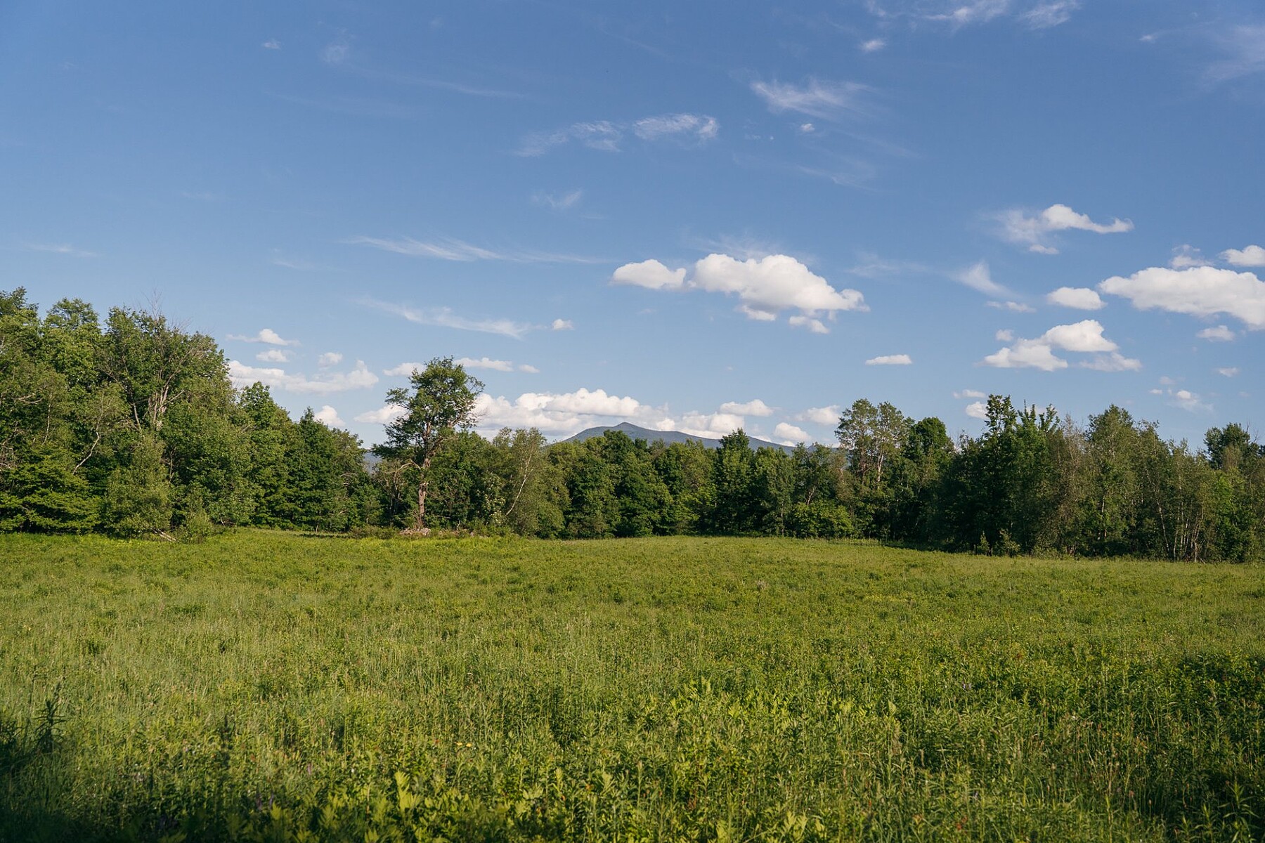  Sutton, Eastern Townships - 物件實景