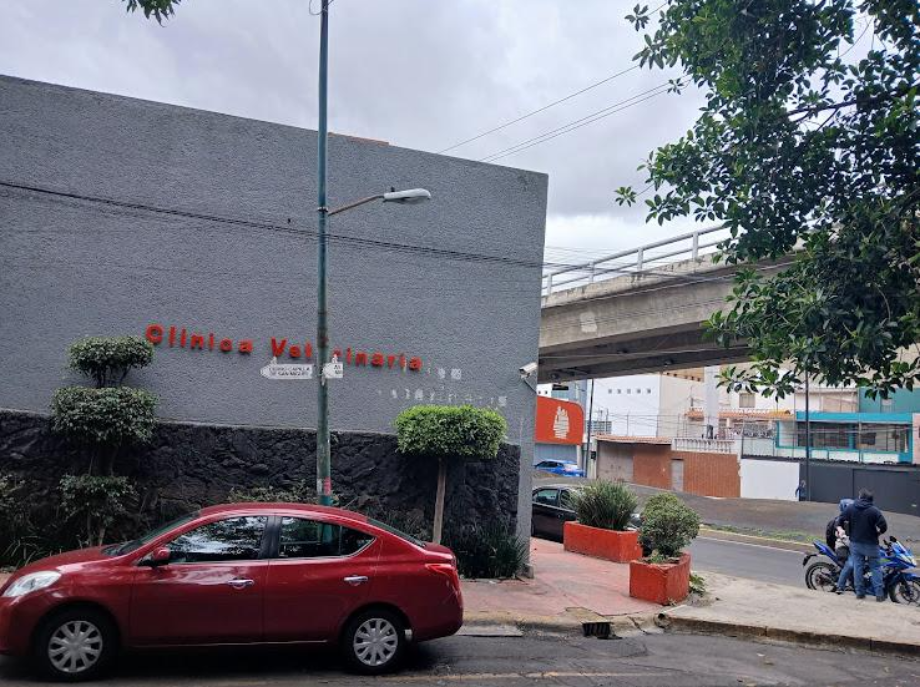 Coyoacán, Ciudad de México, 04200, Mexico, 4 Bedrooms Bedrooms, ,2 BathroomsBathrooms,Residential,For Sale,1916889
