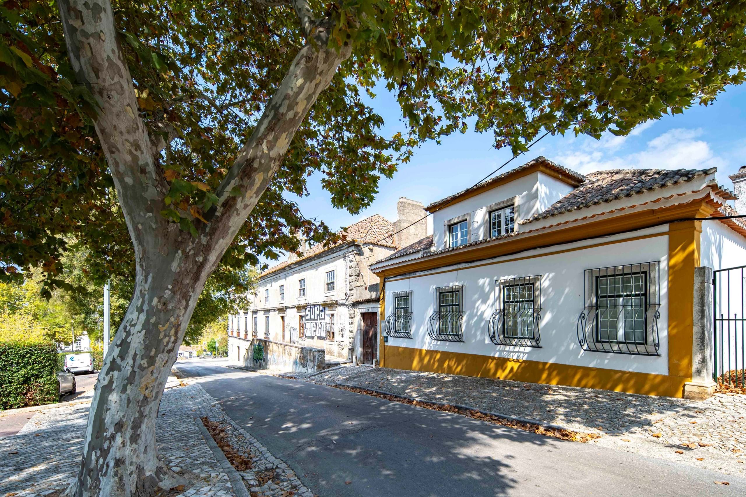 Setúbal, Setúbal, 2925- 002, PT, 3 Bedrooms Bedrooms, ,2 BathroomsBathrooms,Residential,For Sale,1708692
