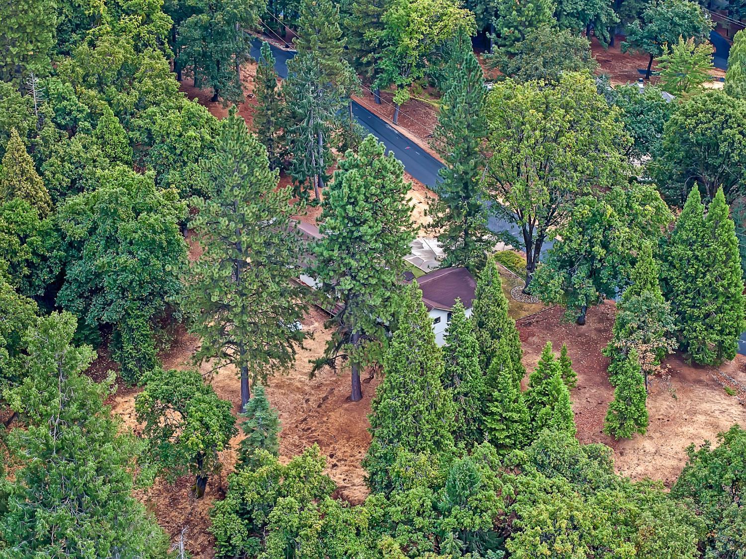 Camino, California, 95709, United States, 4 Bedrooms Bedrooms, ,2 BathroomsBathrooms,Residential,For Sale,1981302