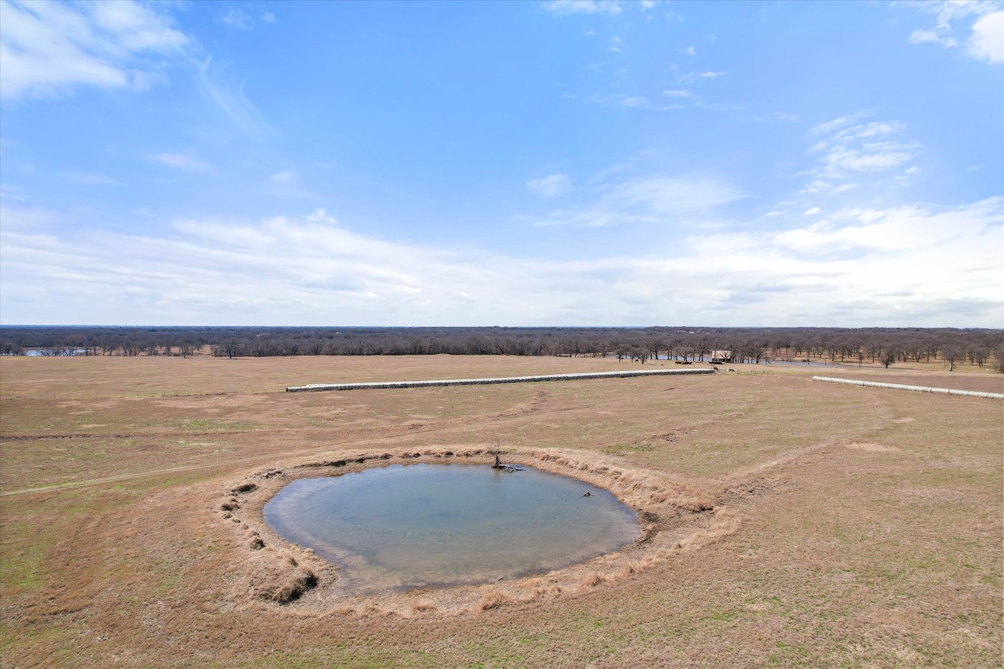 Frost, Texas, 76641, United States, ,Land,For Sale,1978385