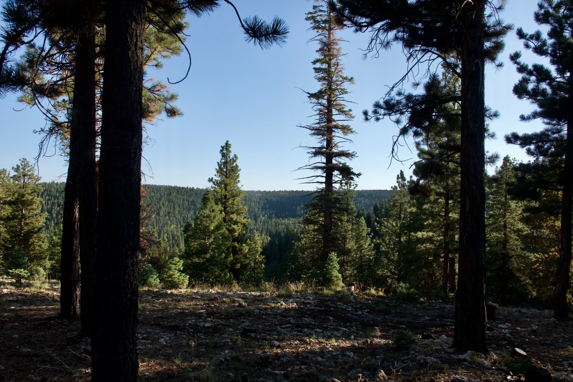  Charming A-Frame Retreat Backing National Forest With Panoramic Views - 物件實景