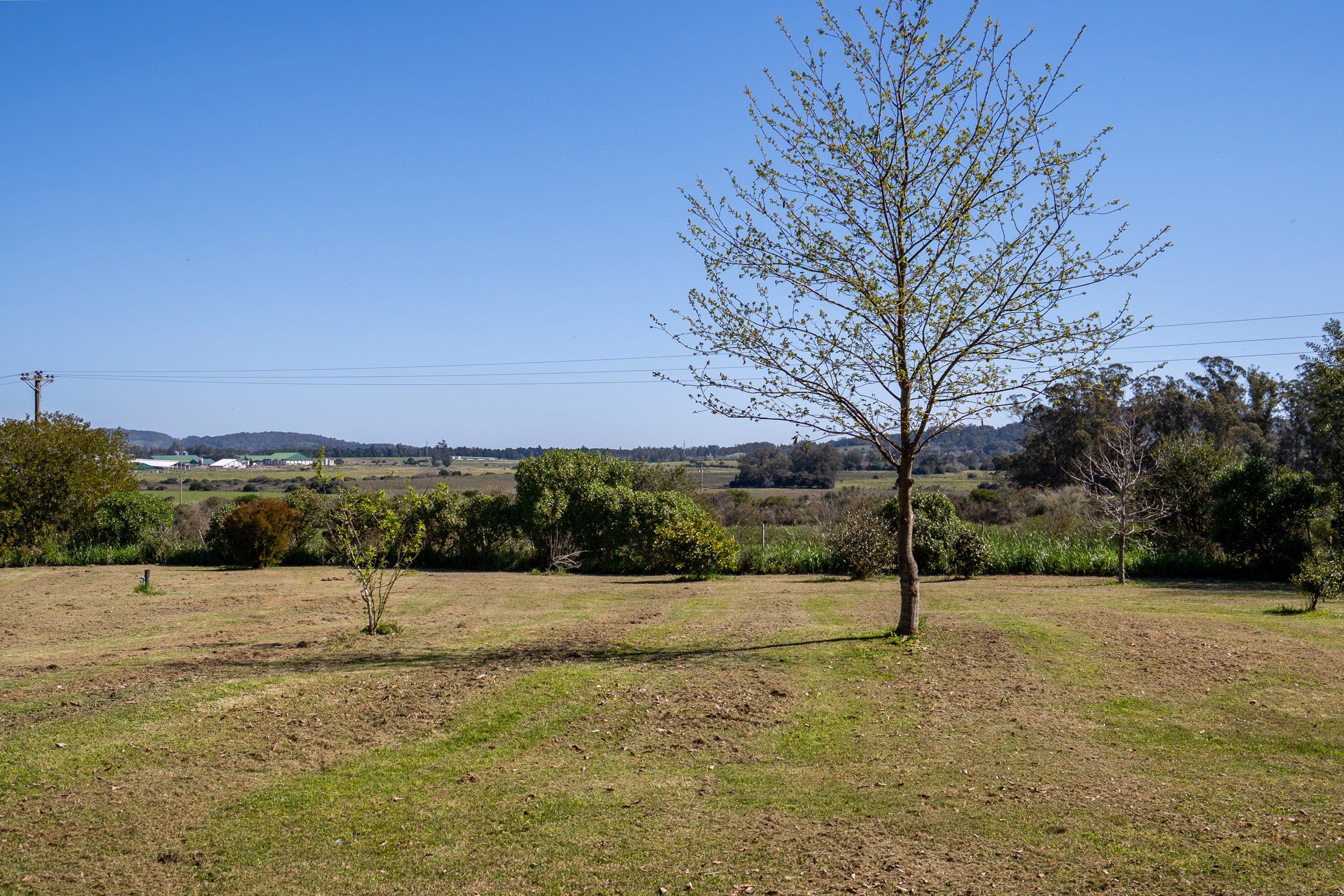  Farm in Lapataia with three buildings. - 物件實景