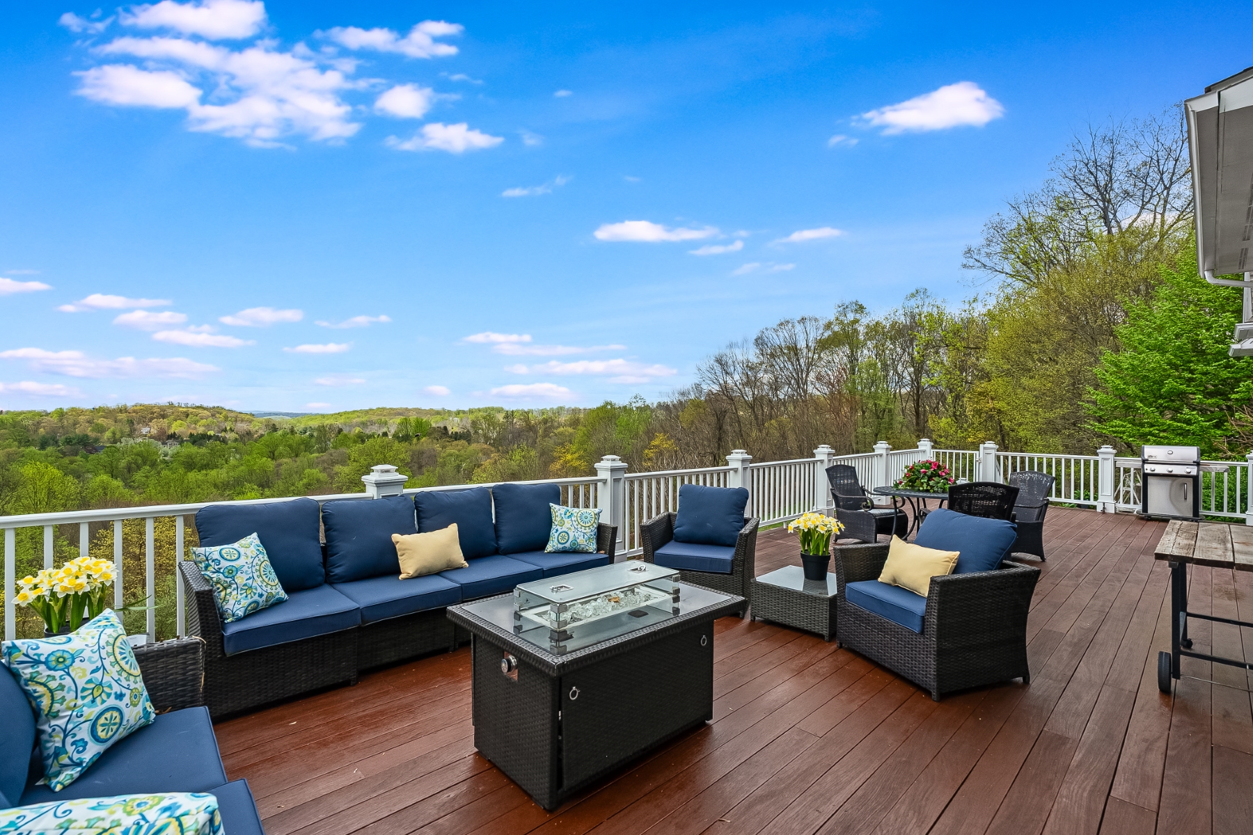  Refined Residence Set on 4.21 Beautiful Acres - 物件實景