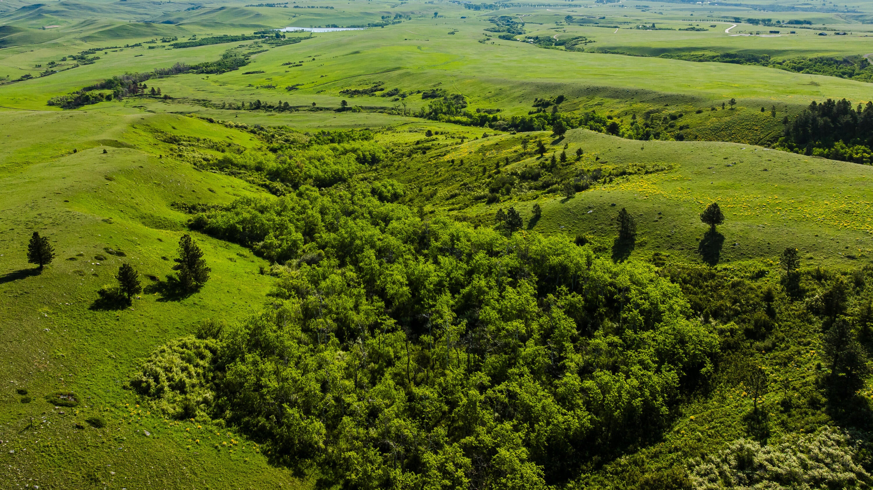 Big Horn, Wyoming, 82833, United States, ,Residential,For Sale,2011314