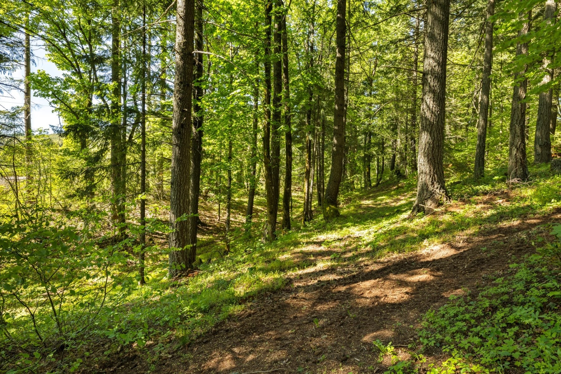  9491 COOK UNDERWOOD RD Underwood, WA 98651 - 物件實景