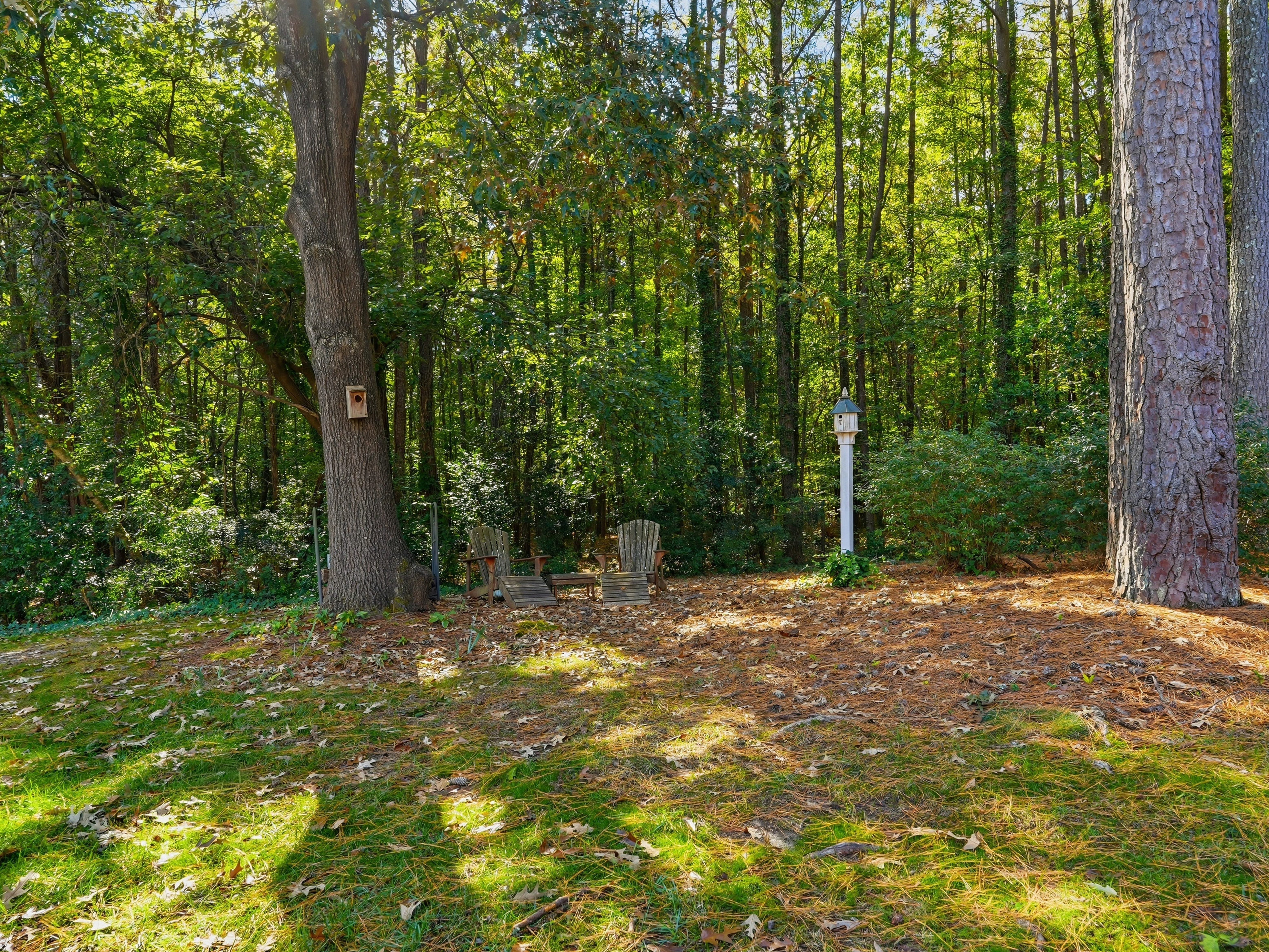  623 Crabbery Lane, Raleigh, NC 27609 - 物件實景