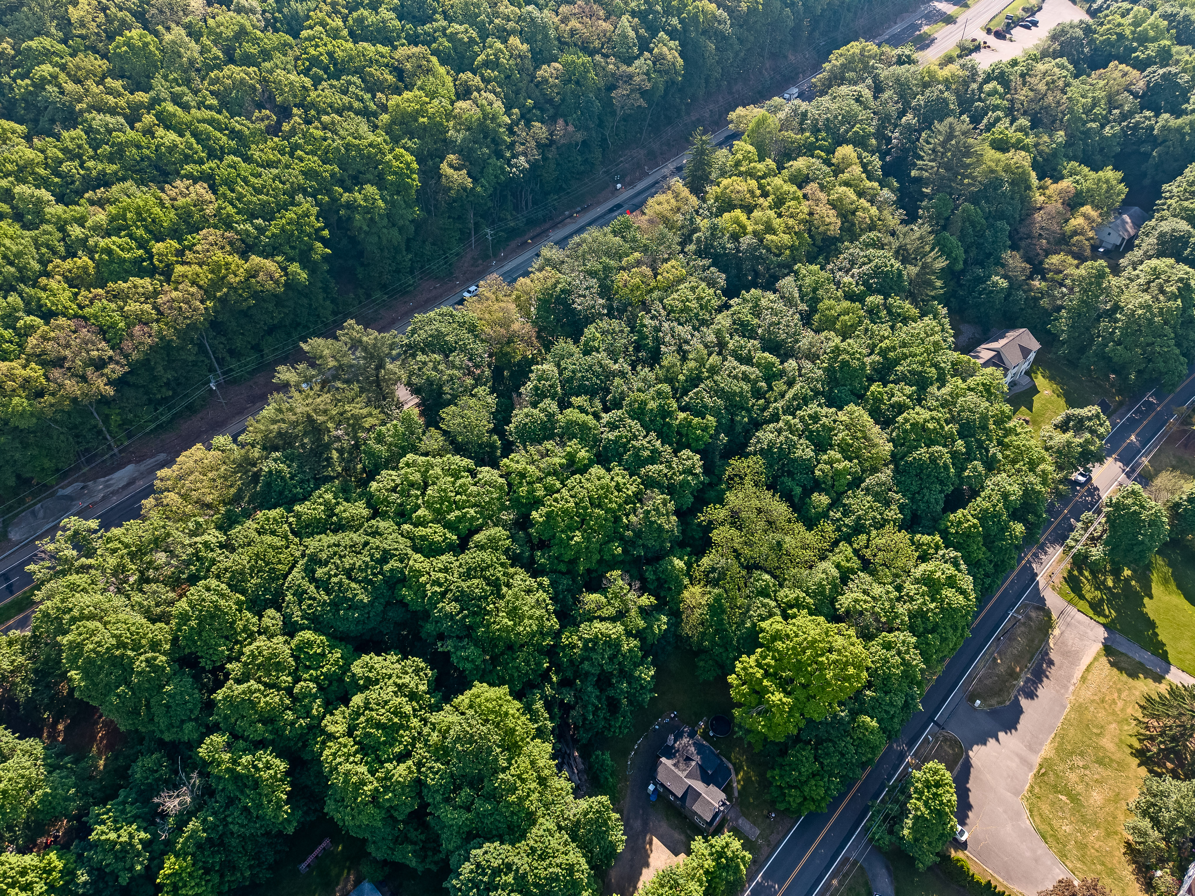  Three Parcels of Land For Sale - 物件實景