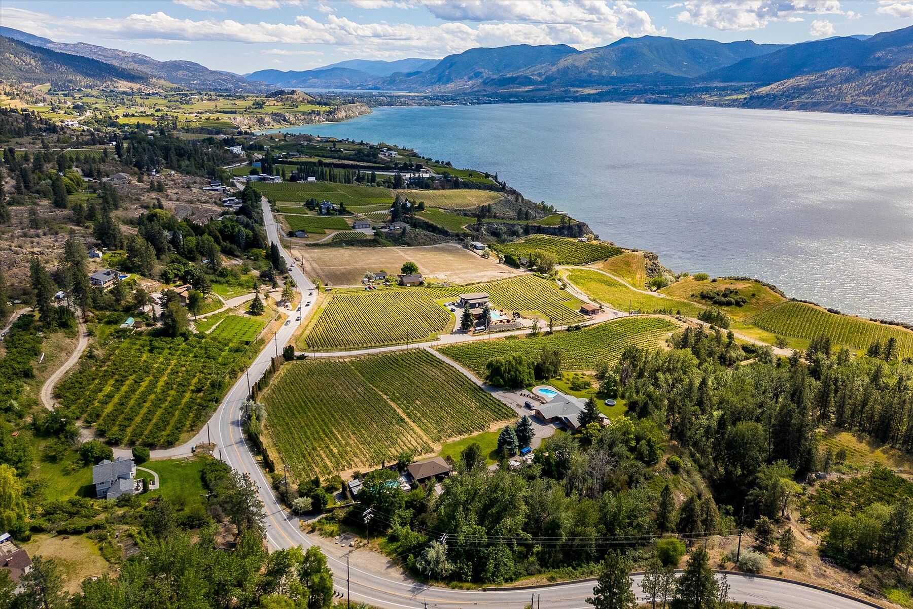  Multiple Homes on a Vineyard - 物件實景