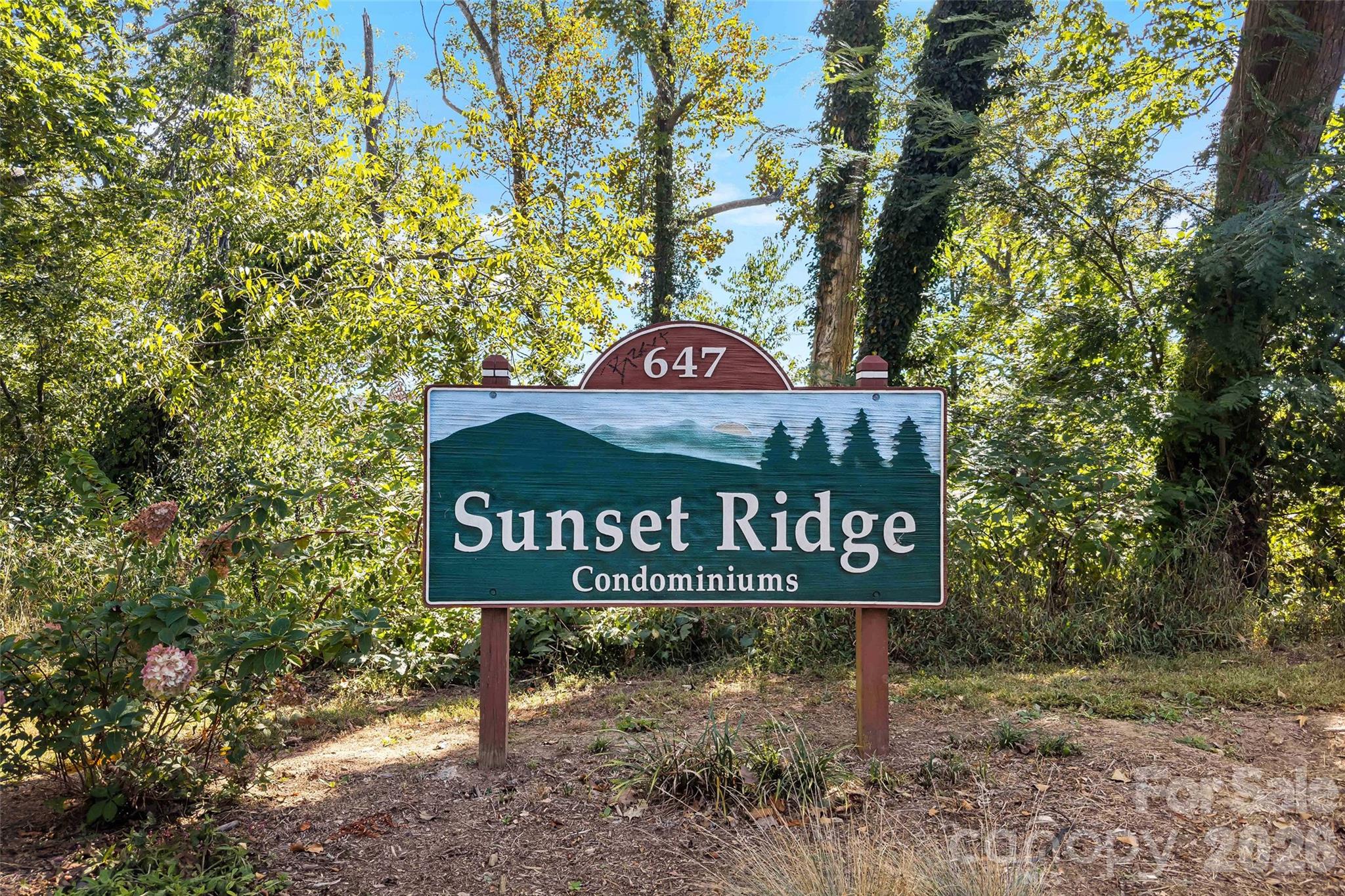 Town Mountain Rd, Asheville, NC 28804