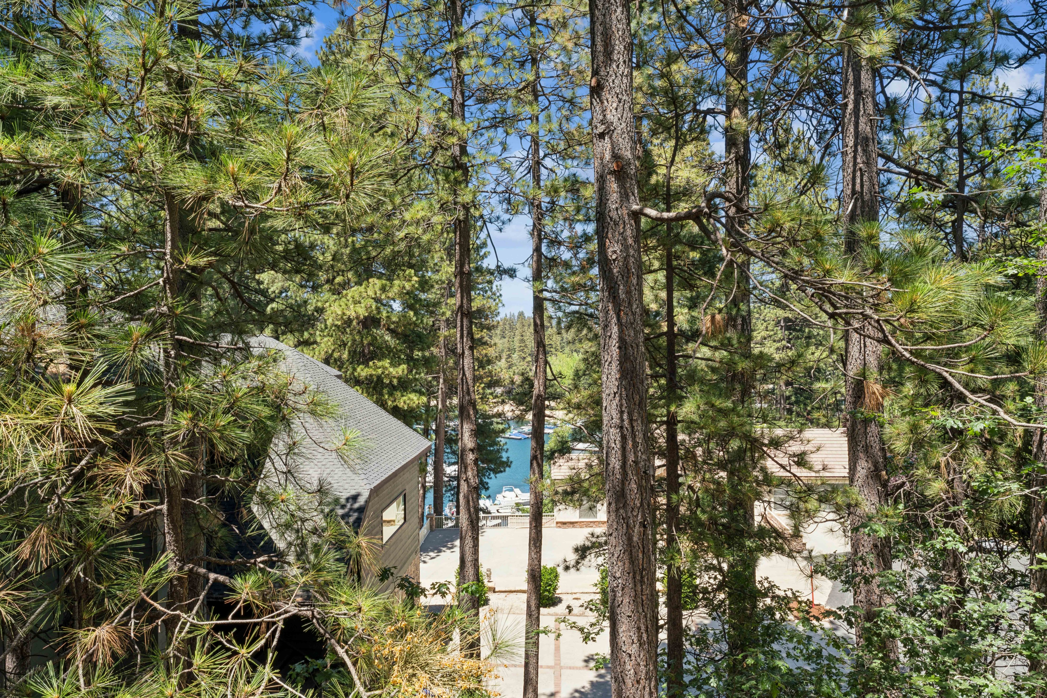  304 Lake Knoll Drive, Lake Arrowhead, CA 92352 - 物件實景