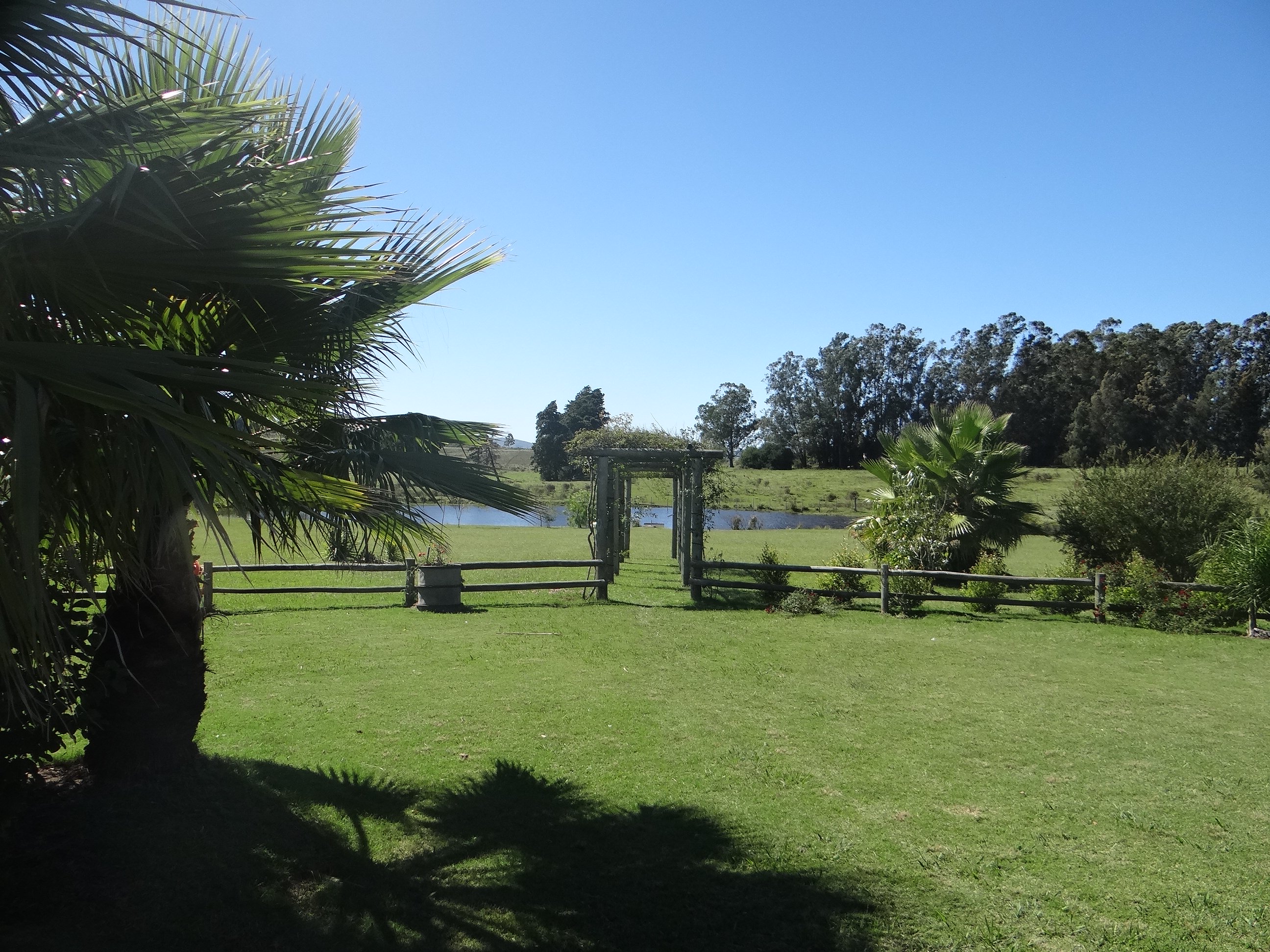  Farm in Pueblo Edén - 物件實景