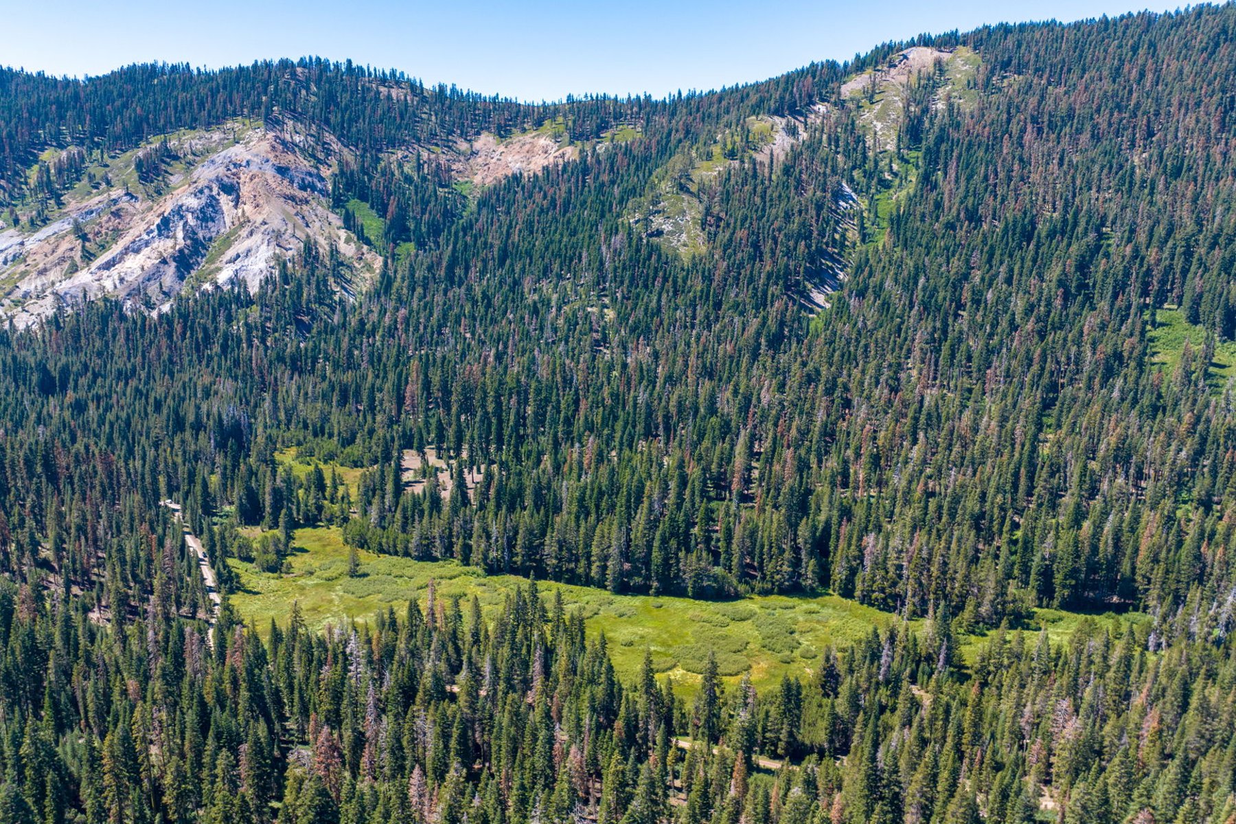  80 Acres of Pristine Land in the Middle of Plumas Eureka State Park - 物件實景