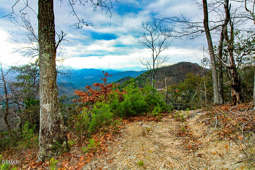 Sevierville, Tennessee, 37876, United States, ,Land,For Sale,2008093