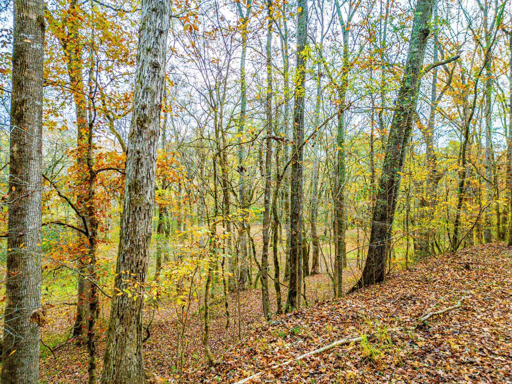 6.04 ac LINCHBURG ROAD, Eatonton, Georgia, 31024, United States, ,Land,For Sale,6.04 ac LINCHBURG ROAD,1683255