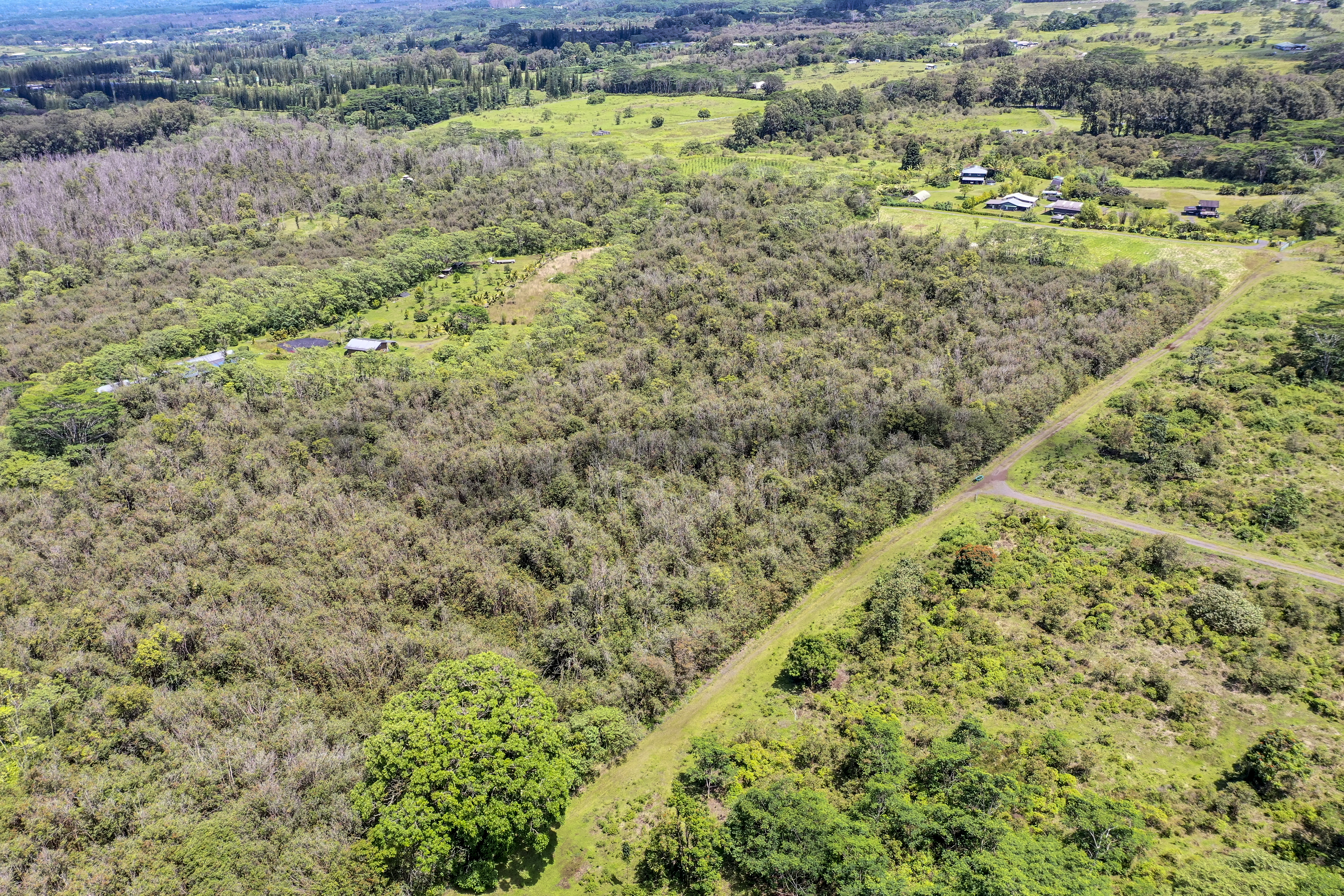 17-820 Manaolana Road, Kurtistown, HI, 96760 - 物件實景
