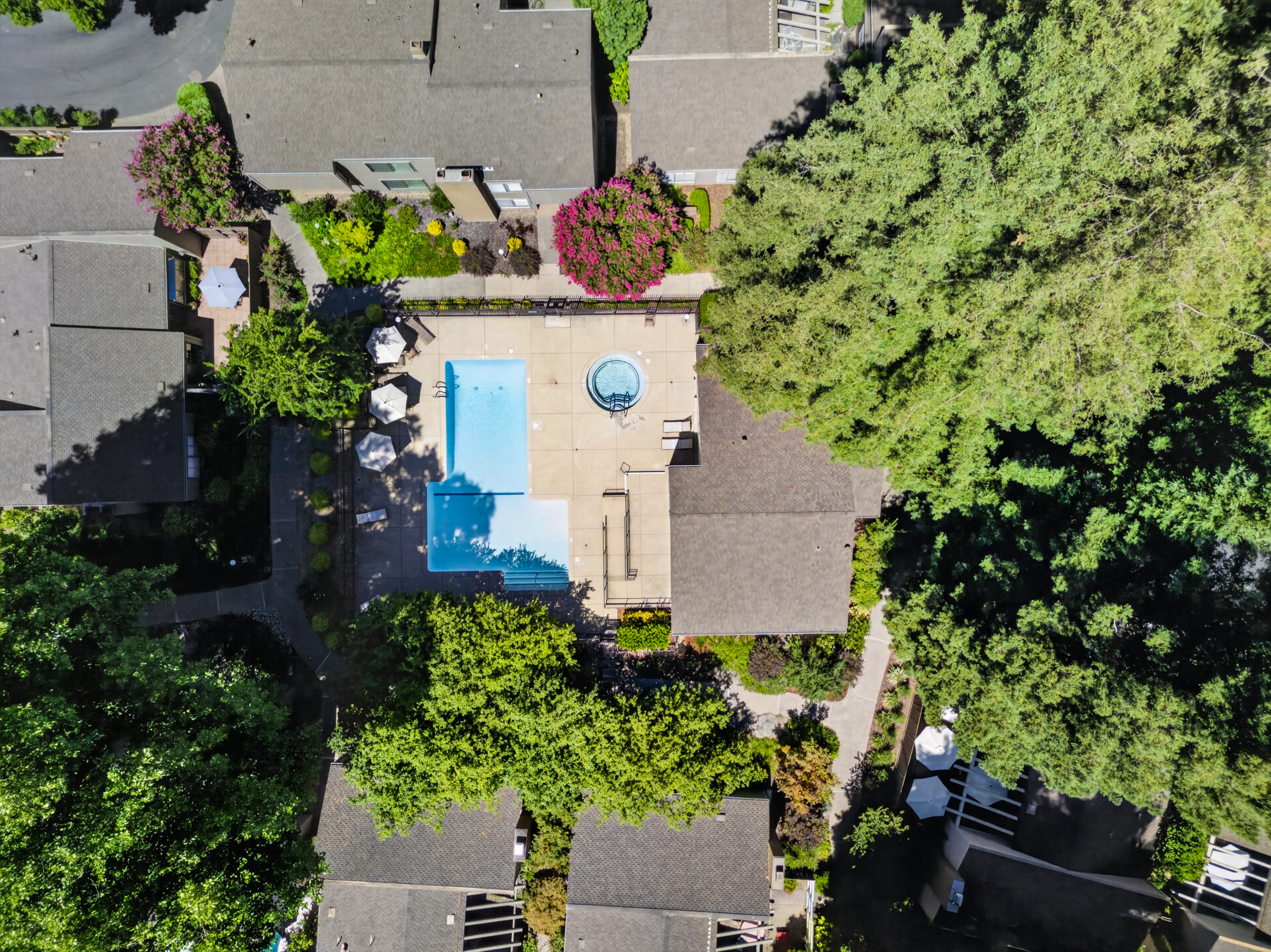  1427 Commons Drive, Sacramento, CA 95825 - 物件實景