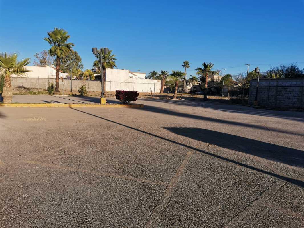 PALMERIAS NORTE, Torreón, Coahuila de Zaragoza, 27105, Mexico, 1 Bedroom Bedrooms, ,Residential,For Sale,PALMERIAS NORTE,1628166