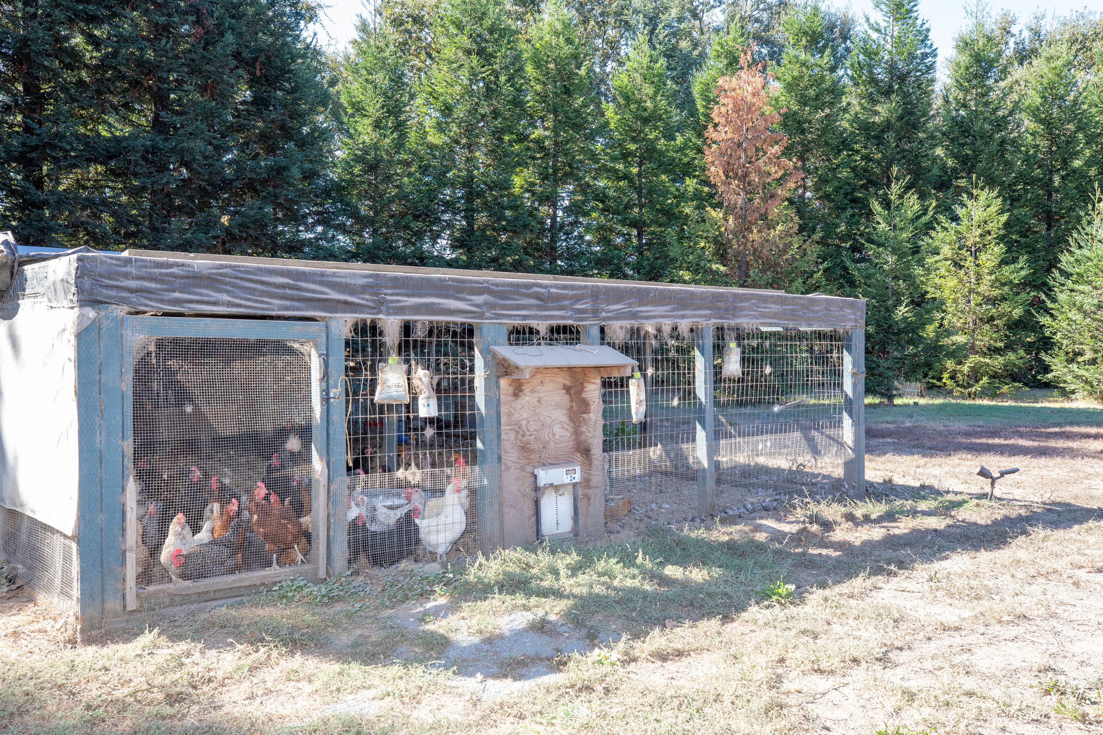  3290 Somers Street, Santa Rosa - 物件實景