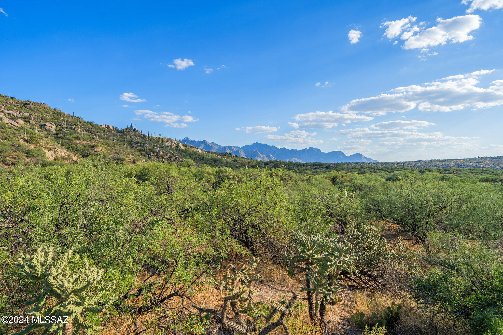 Tucson, Arizona, 85739, United States, ,Land,For Sale,1744993