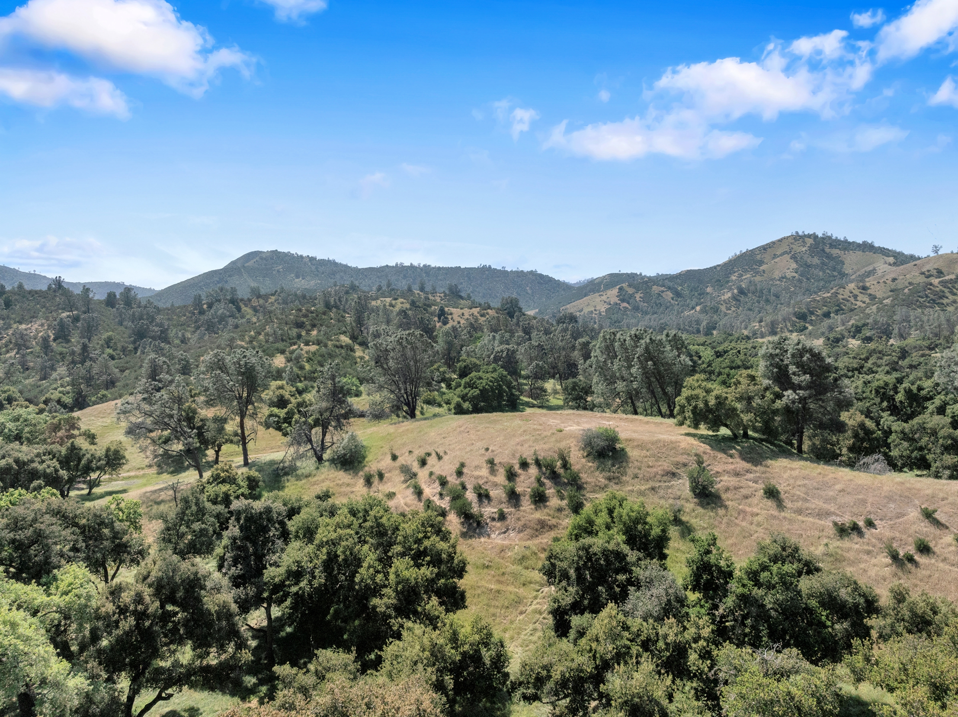  770 Limekiln Road - 物件實景