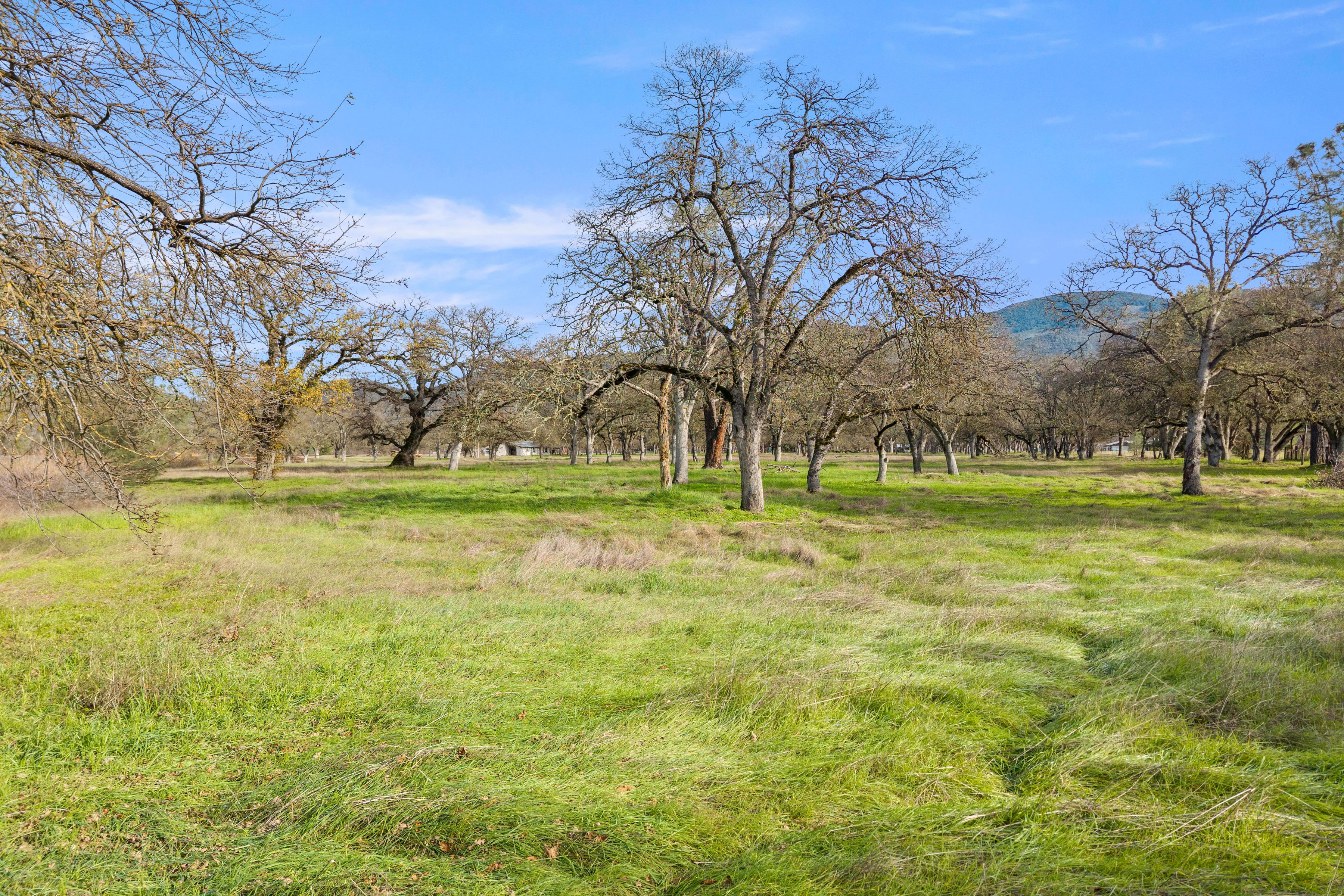  4962 Gaddy Lane - 物件實景