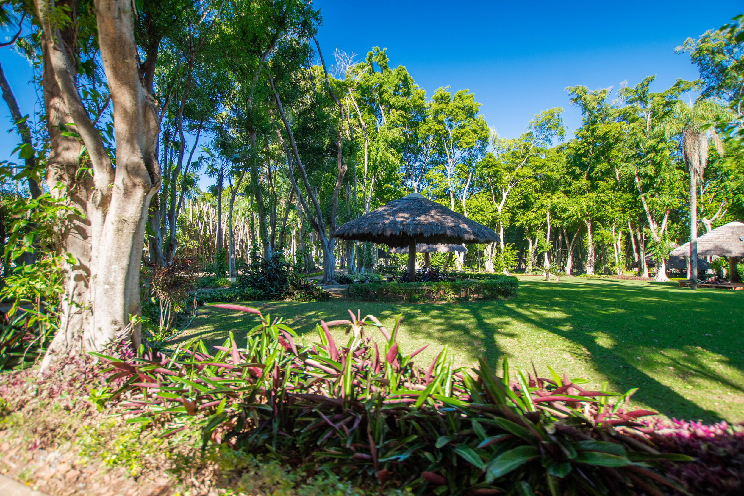  Exclusive Lot in the Gated Community of Rakiura Country - 物件實景
