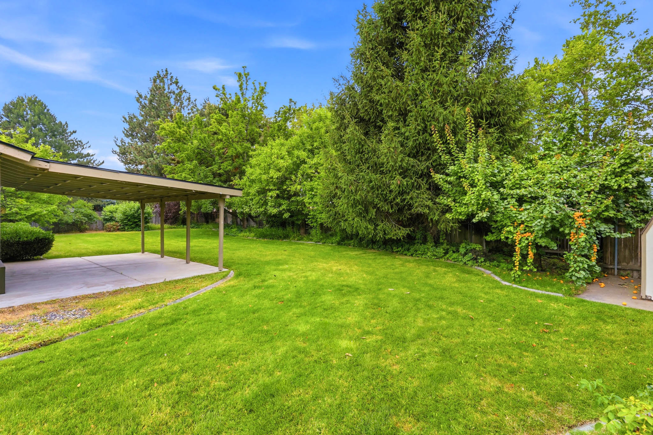  Large Lot &Conveniently Located - 物件實景