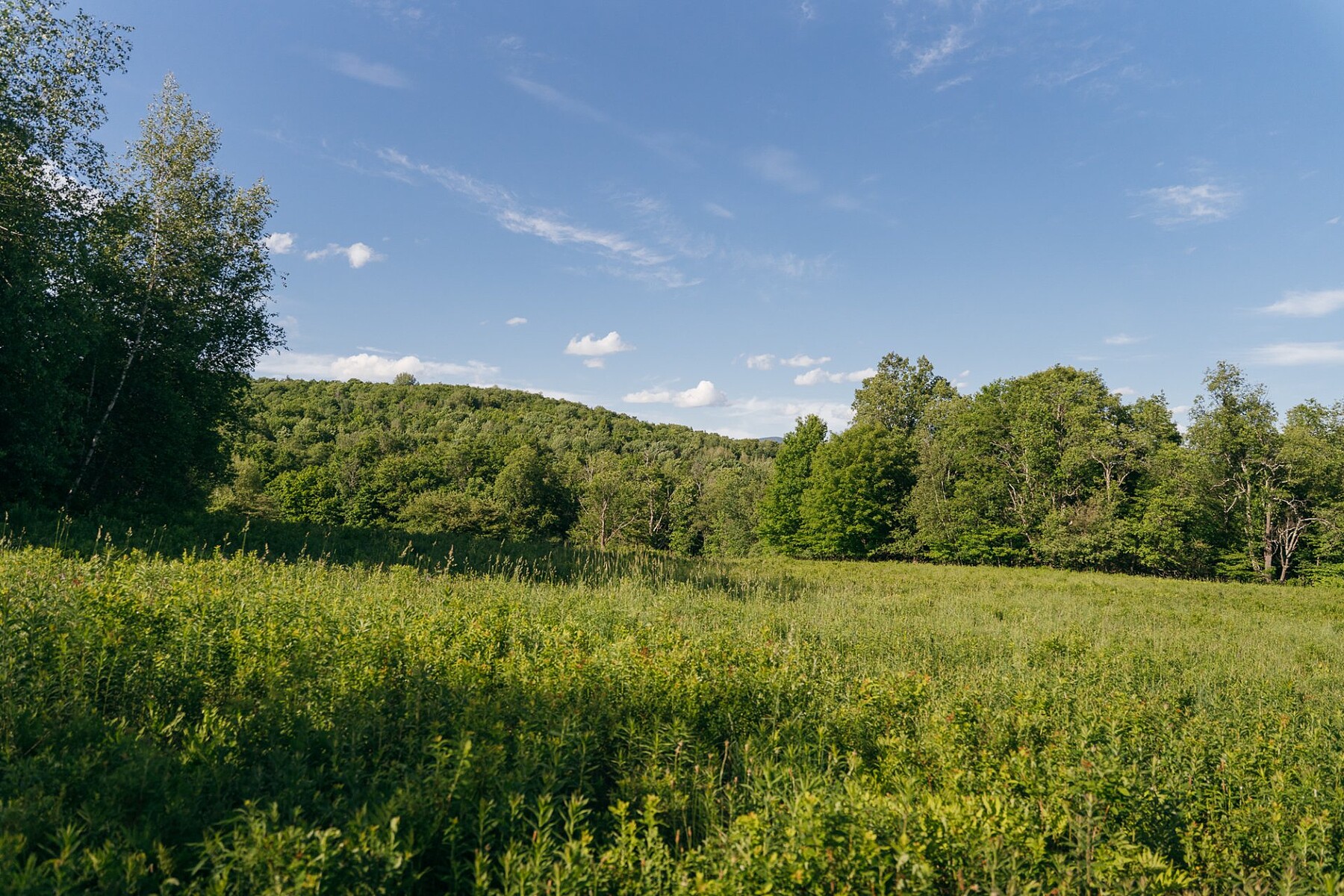  Sutton, Eastern Townships - 物件實景