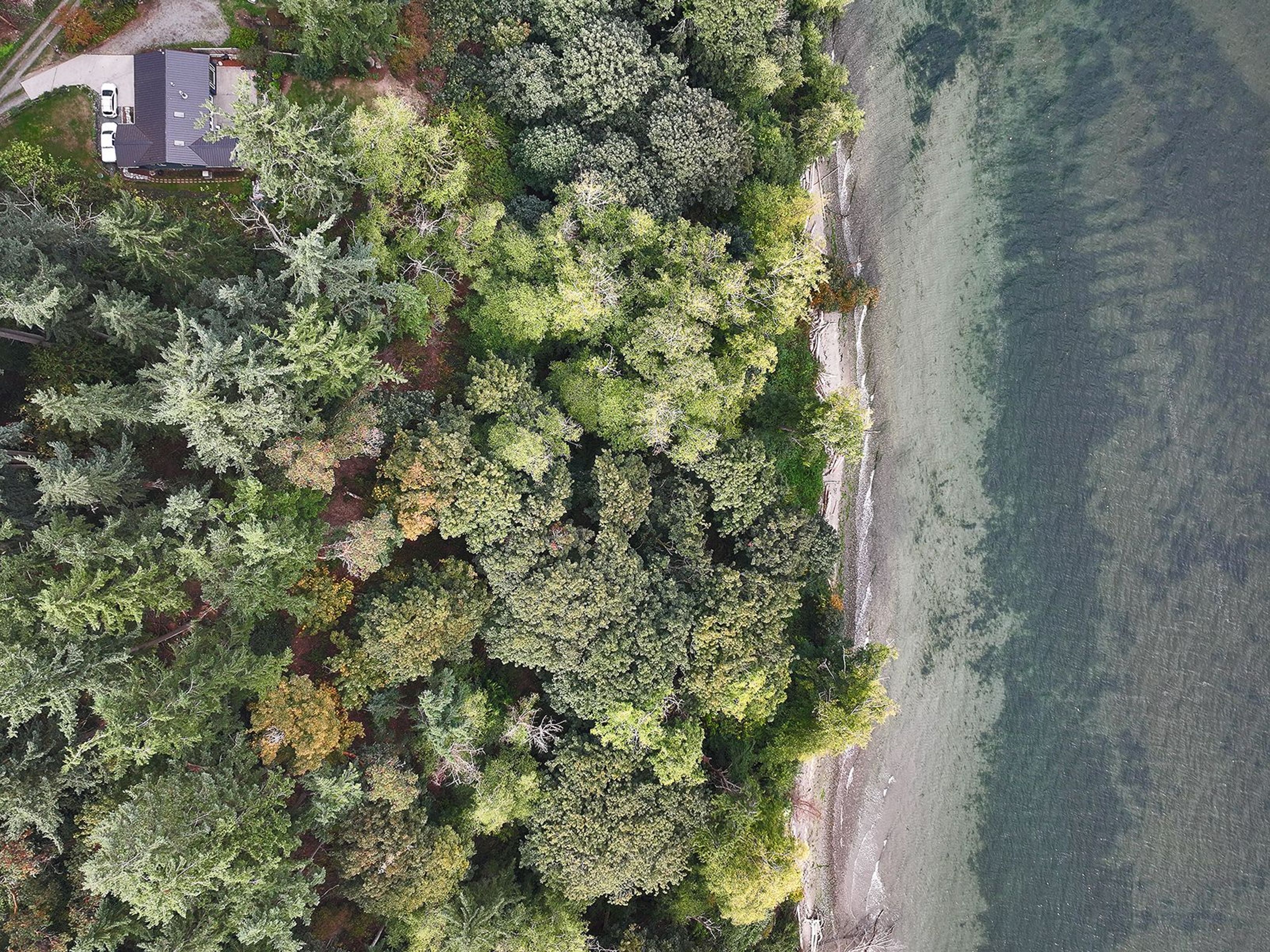  XXX Waterside Lane, Langley, WA 98260 - 物件實景