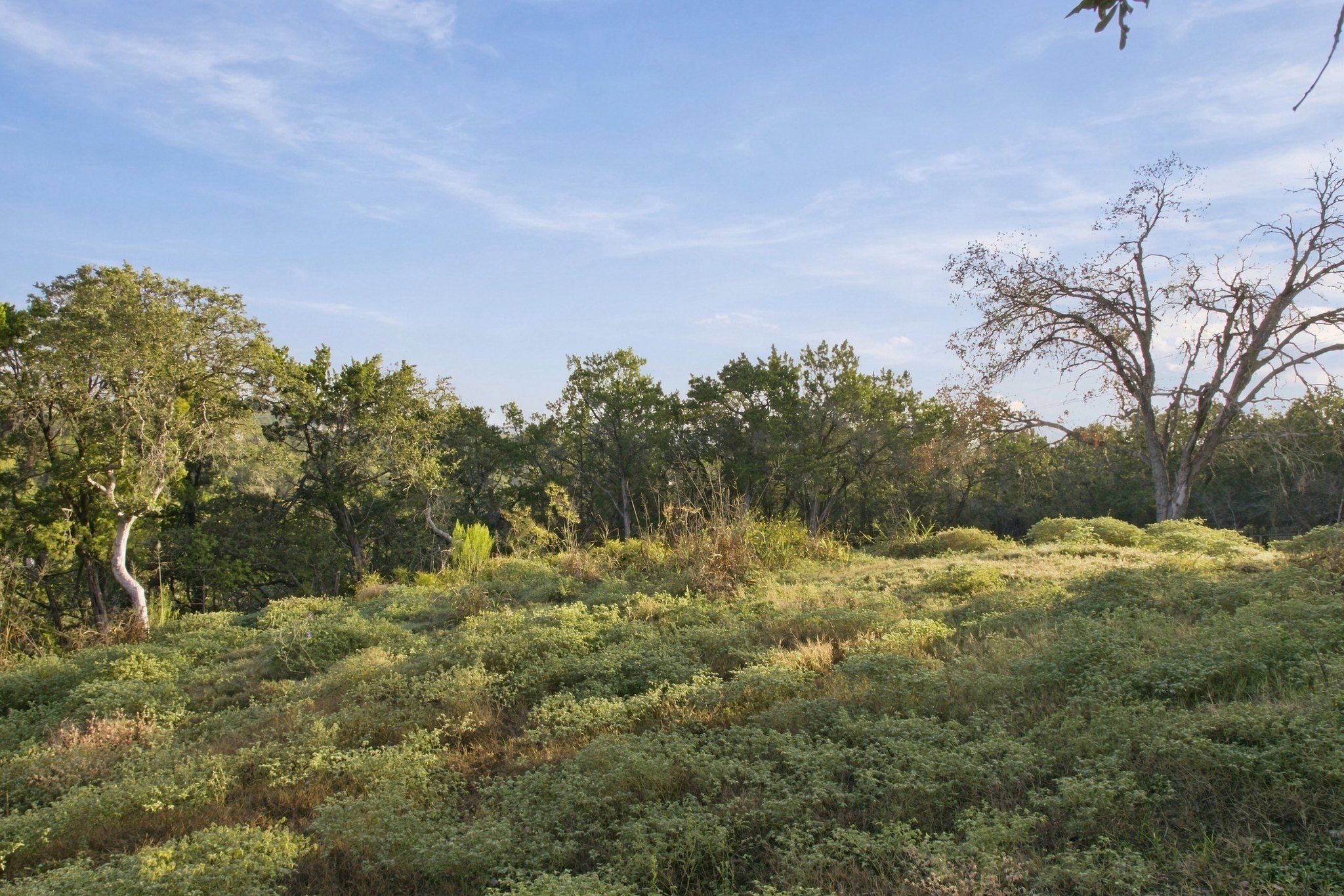  Private acreage in The Estates of Barton Creek - 物件實景