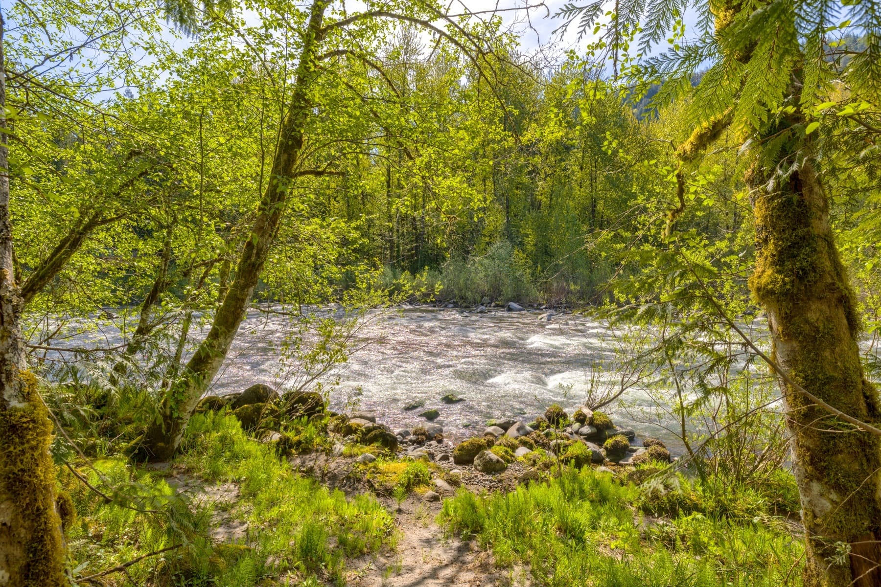  58200 E Marmot Road Sandy, OR 97055 - 物件實景
