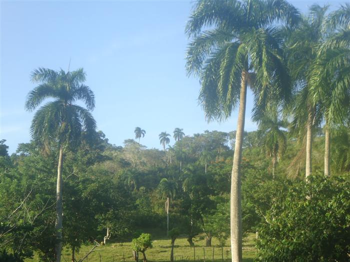 Sosua, DO, ,Land,For Sale,1907568